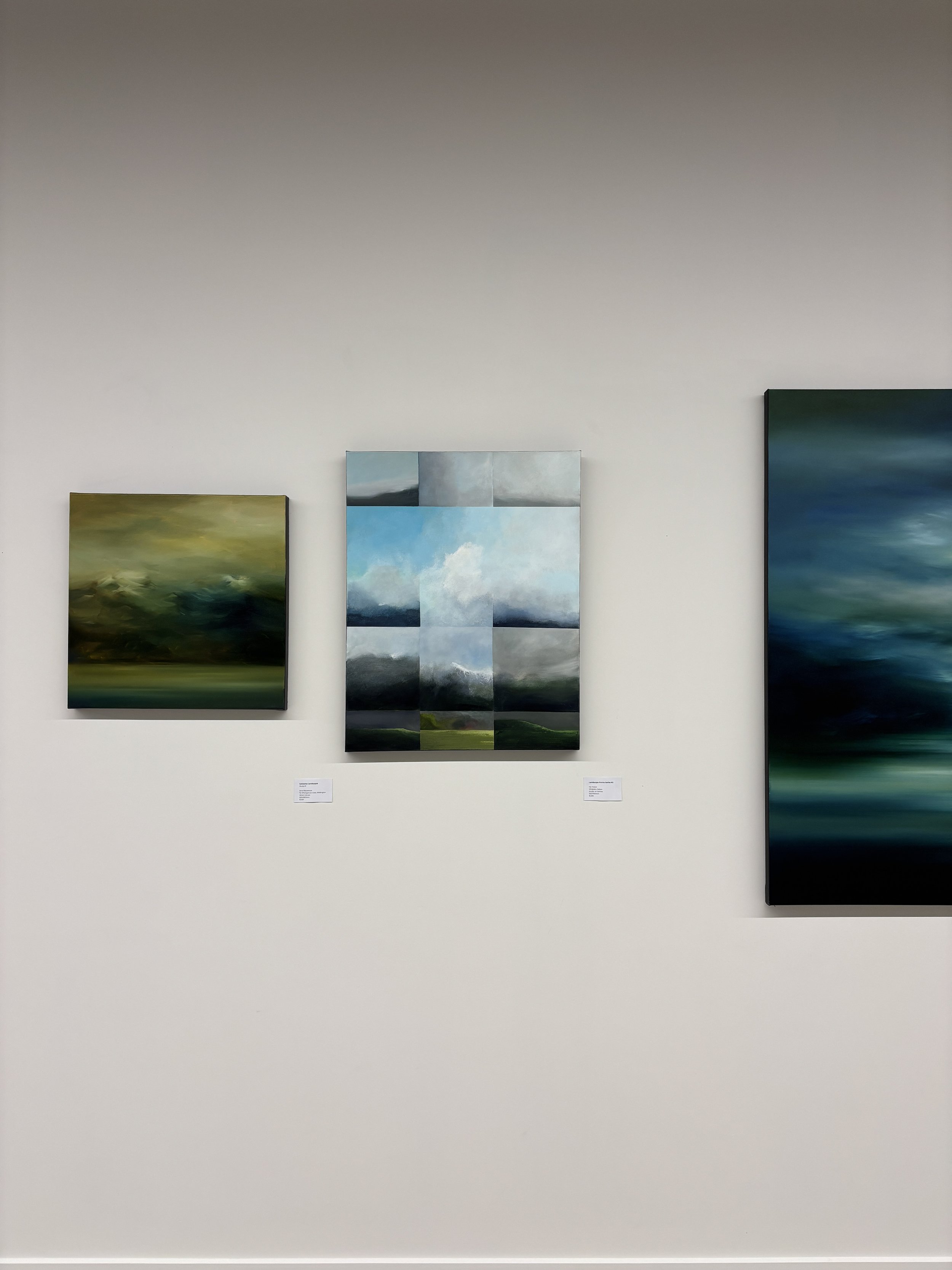 christchurch-art-gallery-curating-new-zealand-art-1.JPG