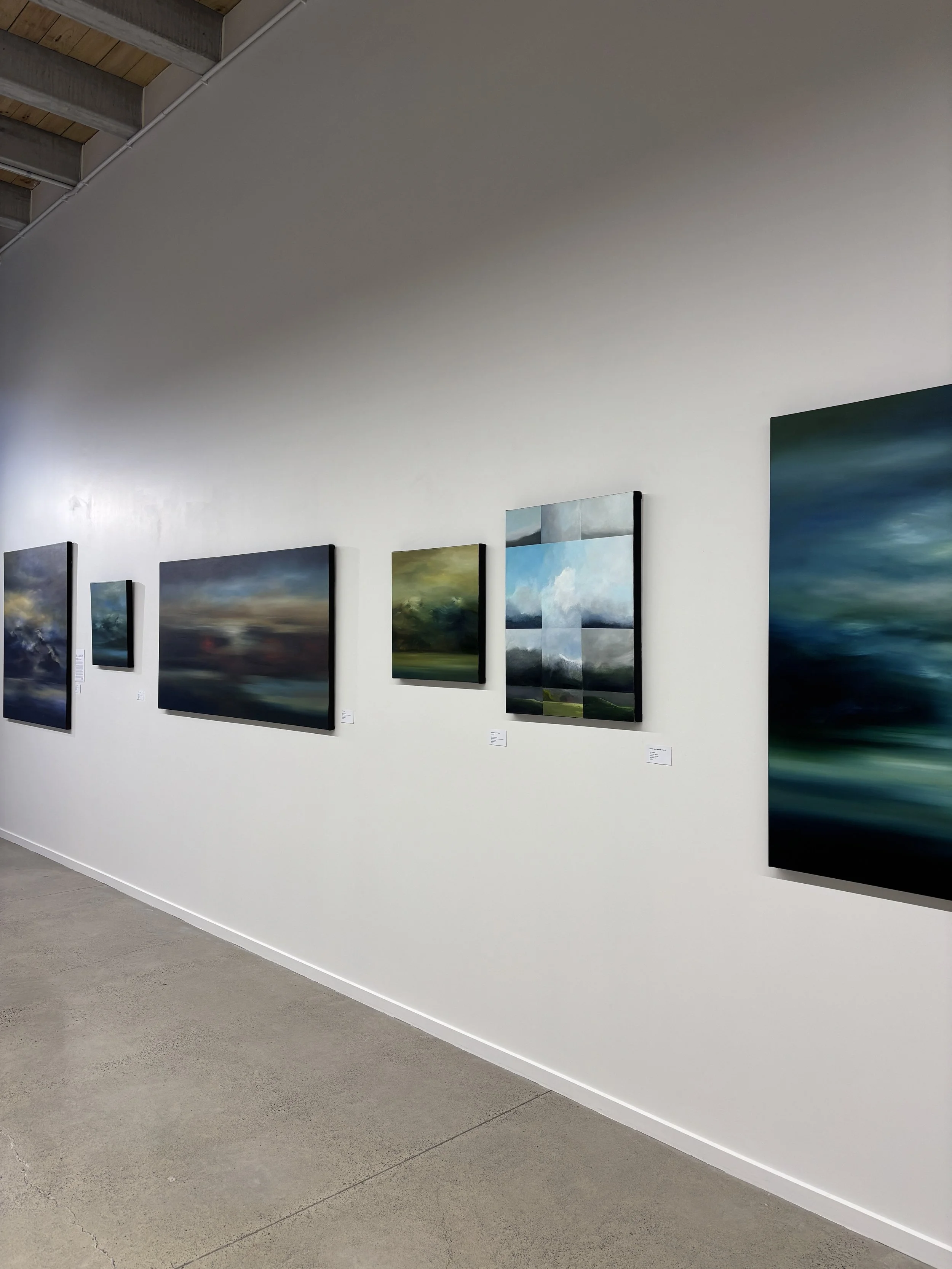 christchurch-art-gallery-curating-new-zealand-art-2.JPG