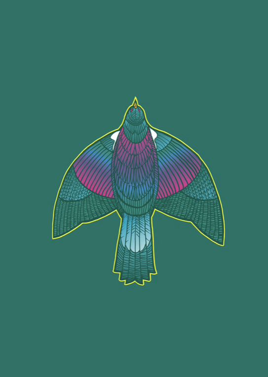 Nga Tamariki - Kereru (Wood Pigeon).png