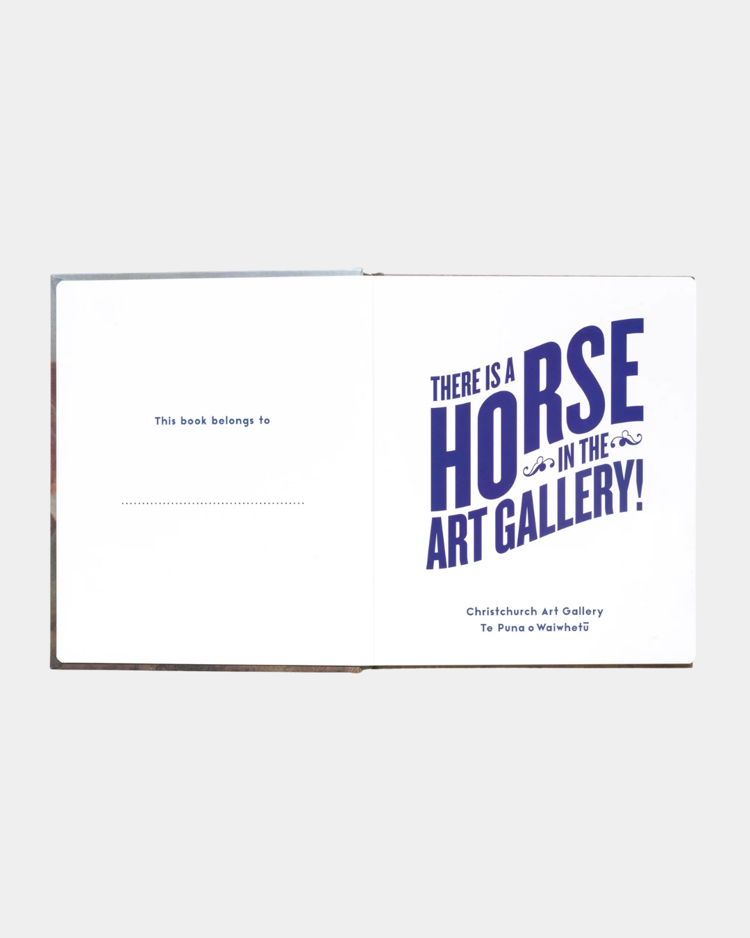 Horse in the Gallery Book - Ashe Gallery Christchurch.png
