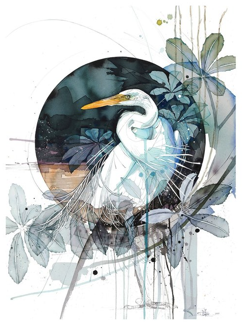 Kotuku - White Heron Midnight0.png