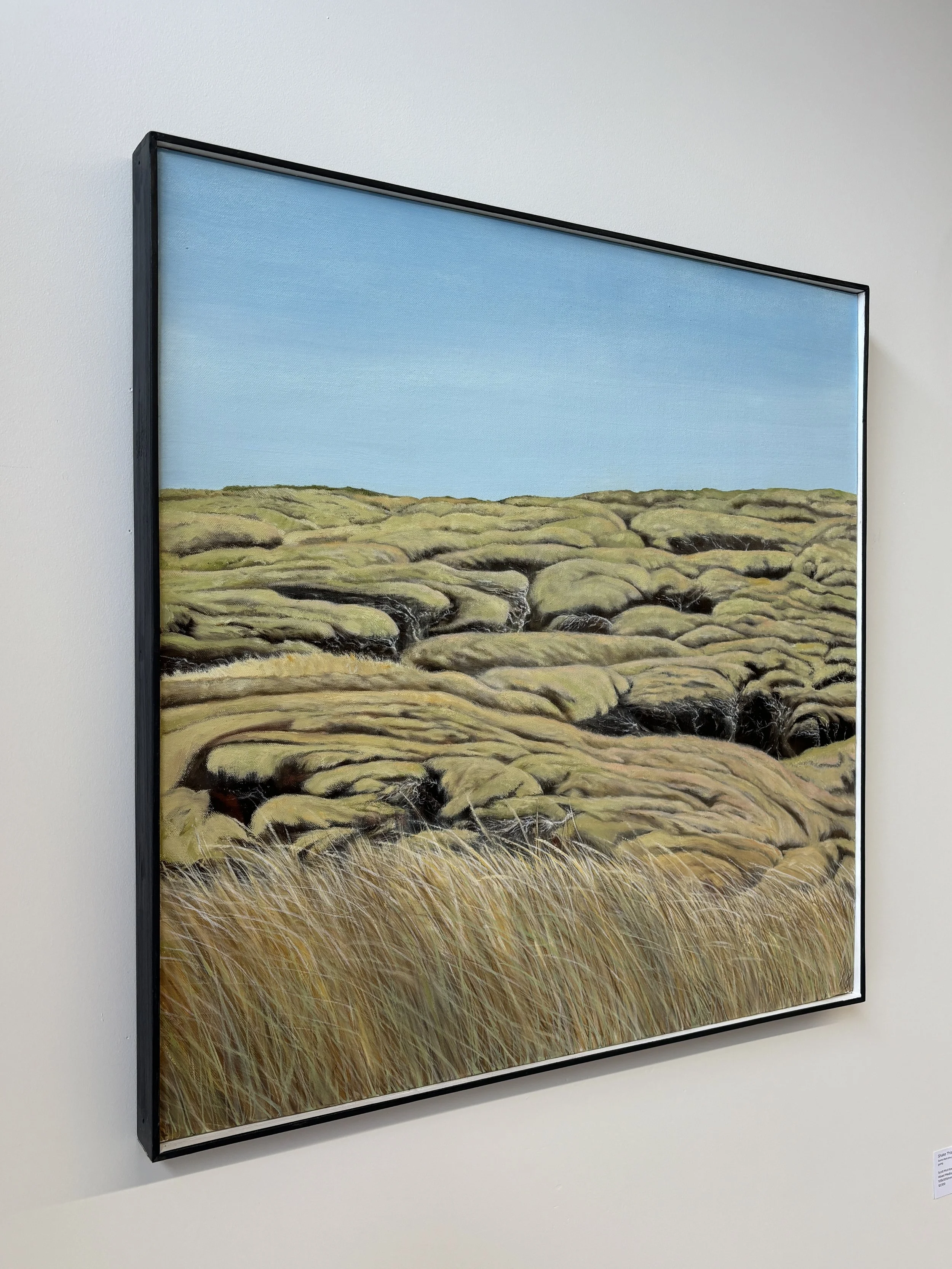 Kevin Burgess Original Oil Paintings LandscapeIMG_9620.JPG