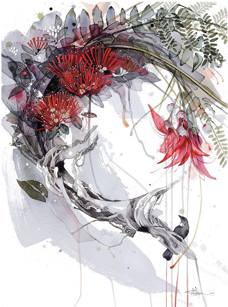 Pohutukawa Loop feat. Kākābeak and Tui0.png