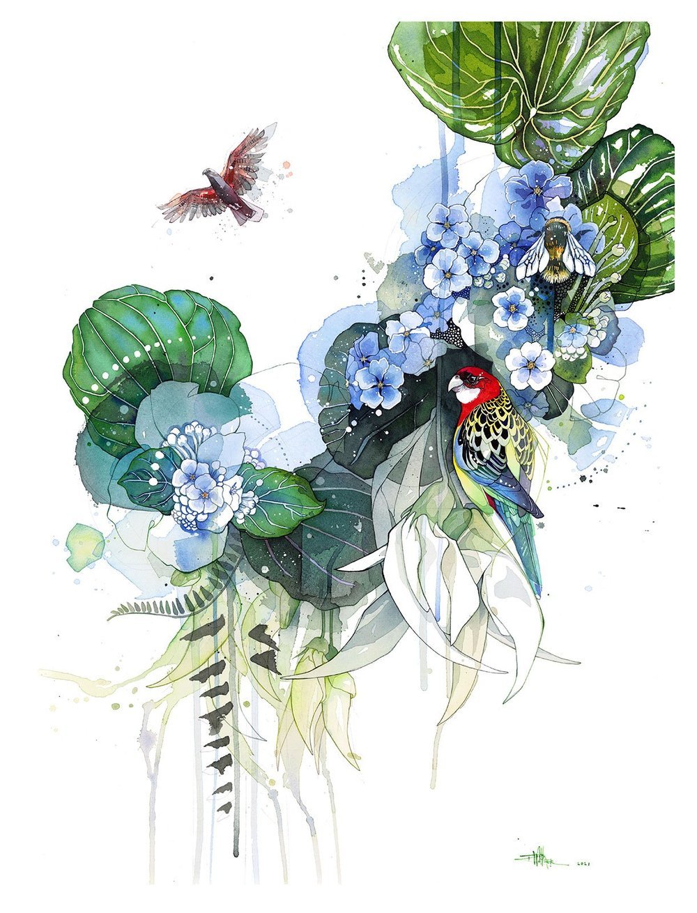 Forget-Me-Not Composition