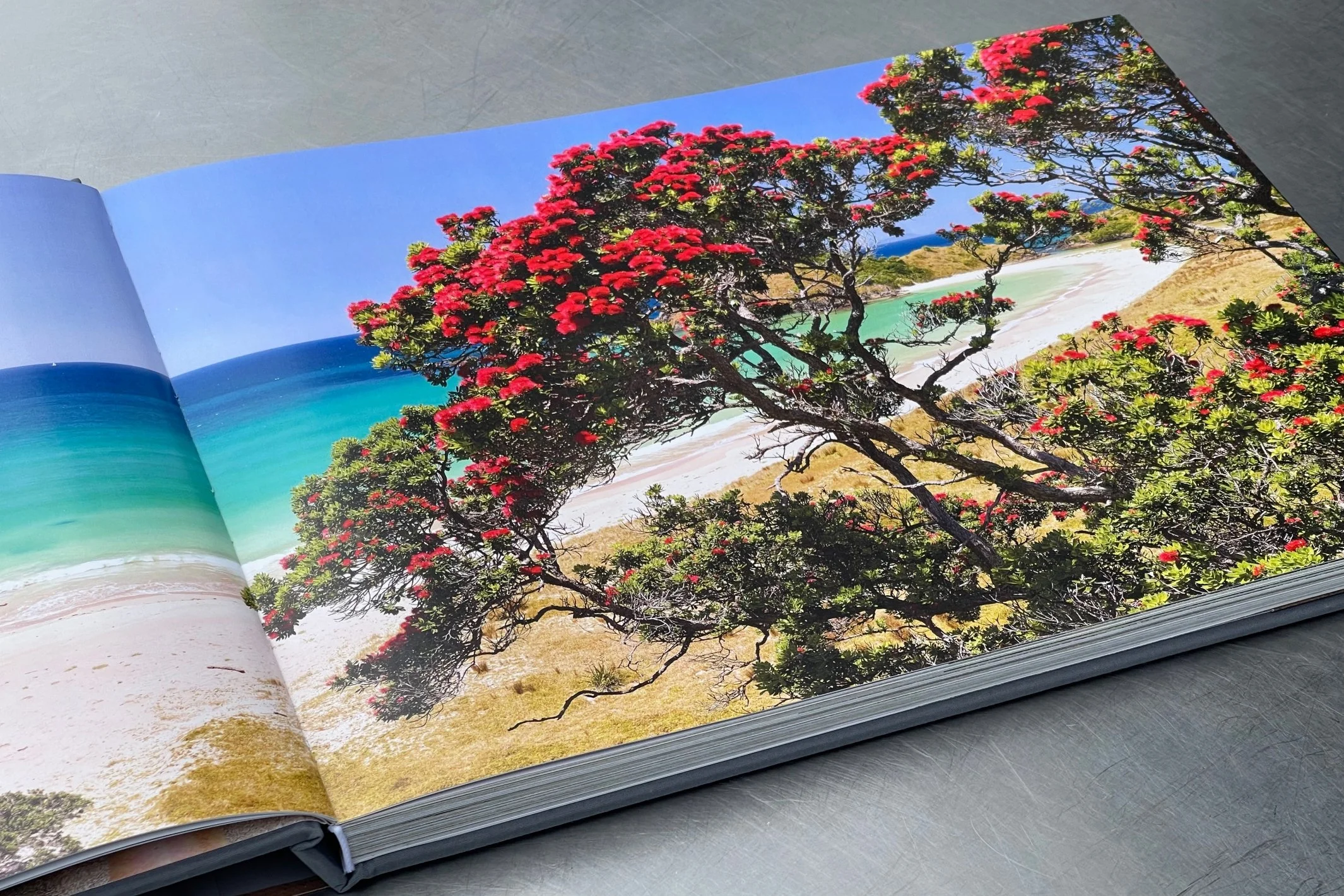 Land of Light Photography Book-7278.jpeg