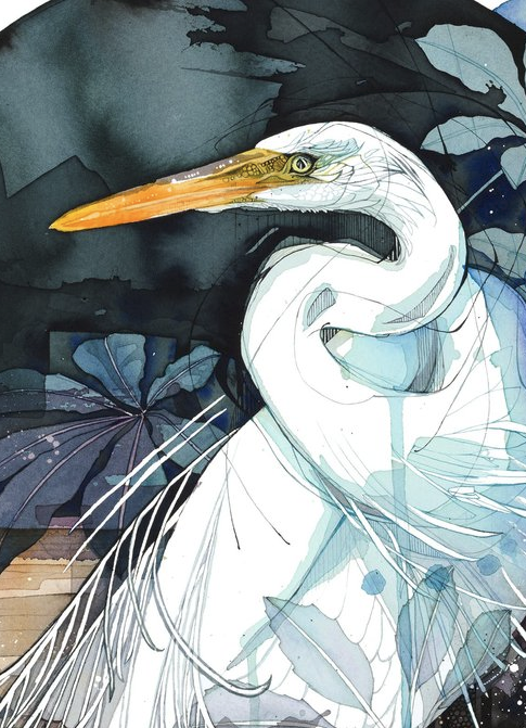 Kotuku - White Heron Midnight1.png