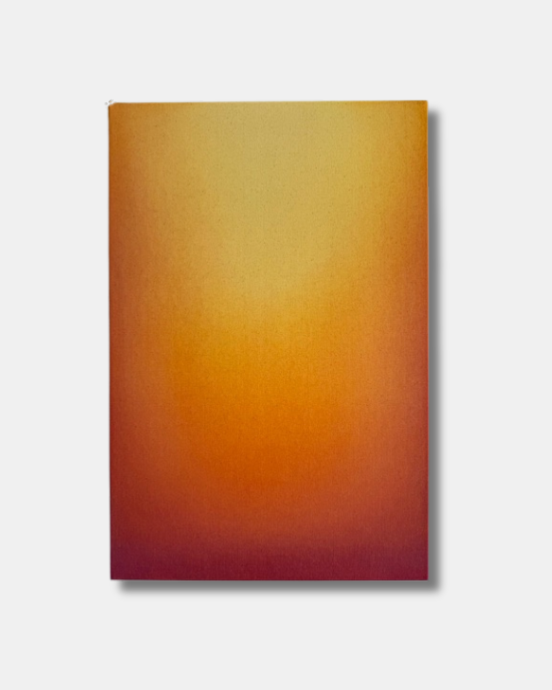 Hollie Oneill - In Good Company Exhibition .png