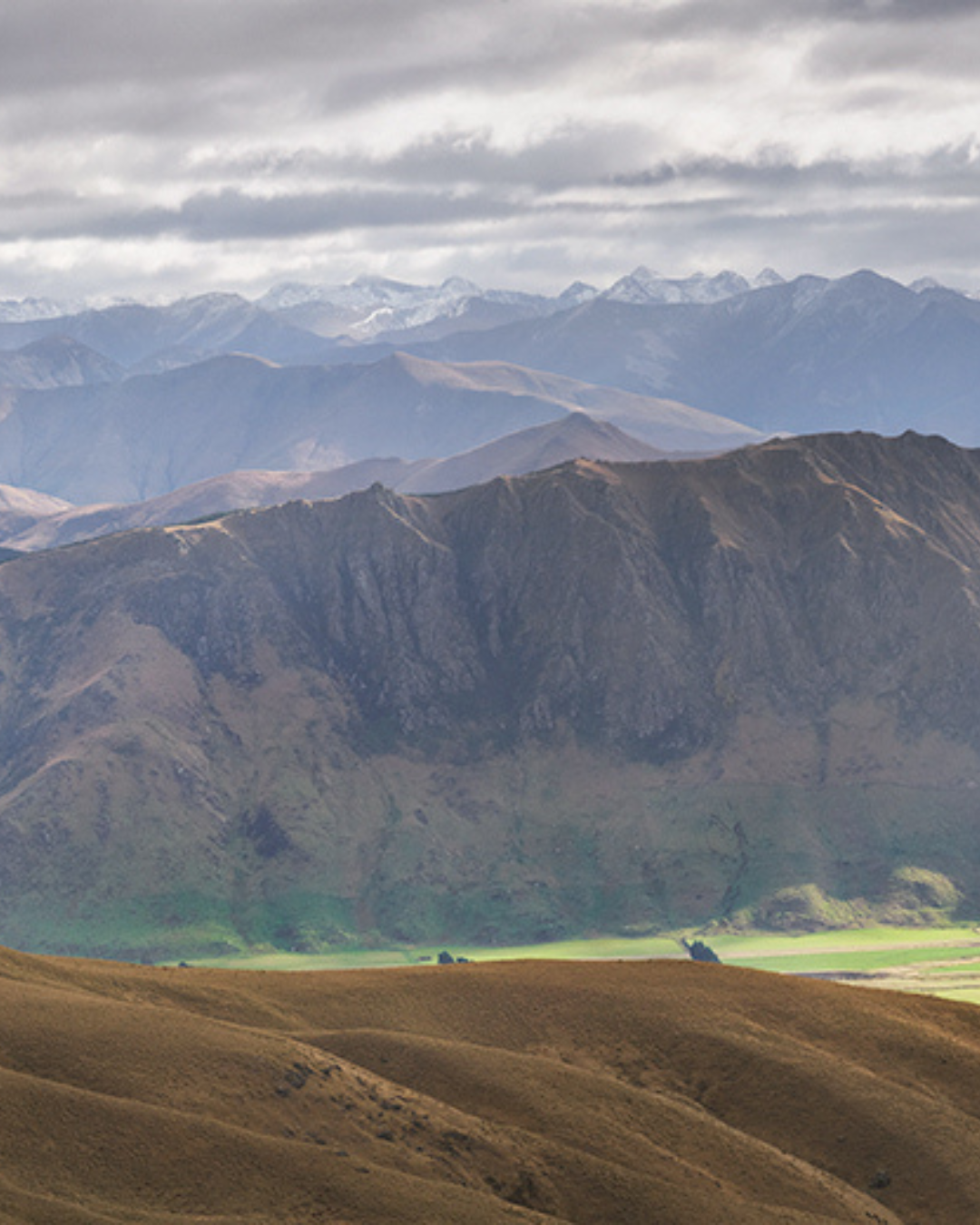 Photography Peter Latham (4).png