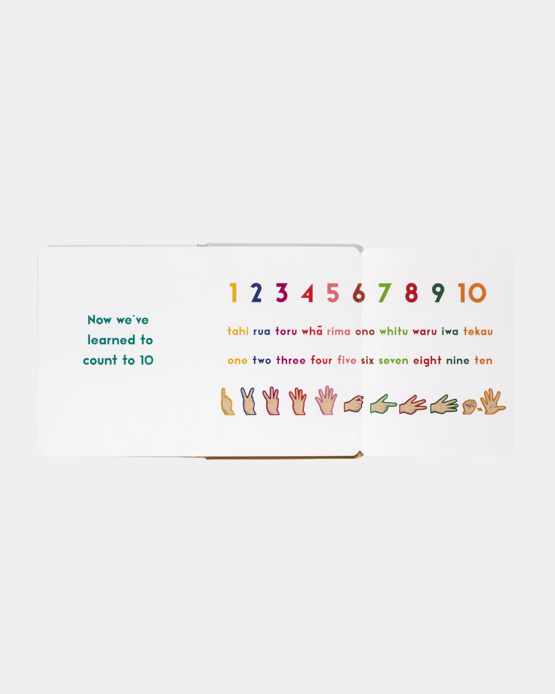 What Will You See Book - Ashe Gallery Christchurch (3).png