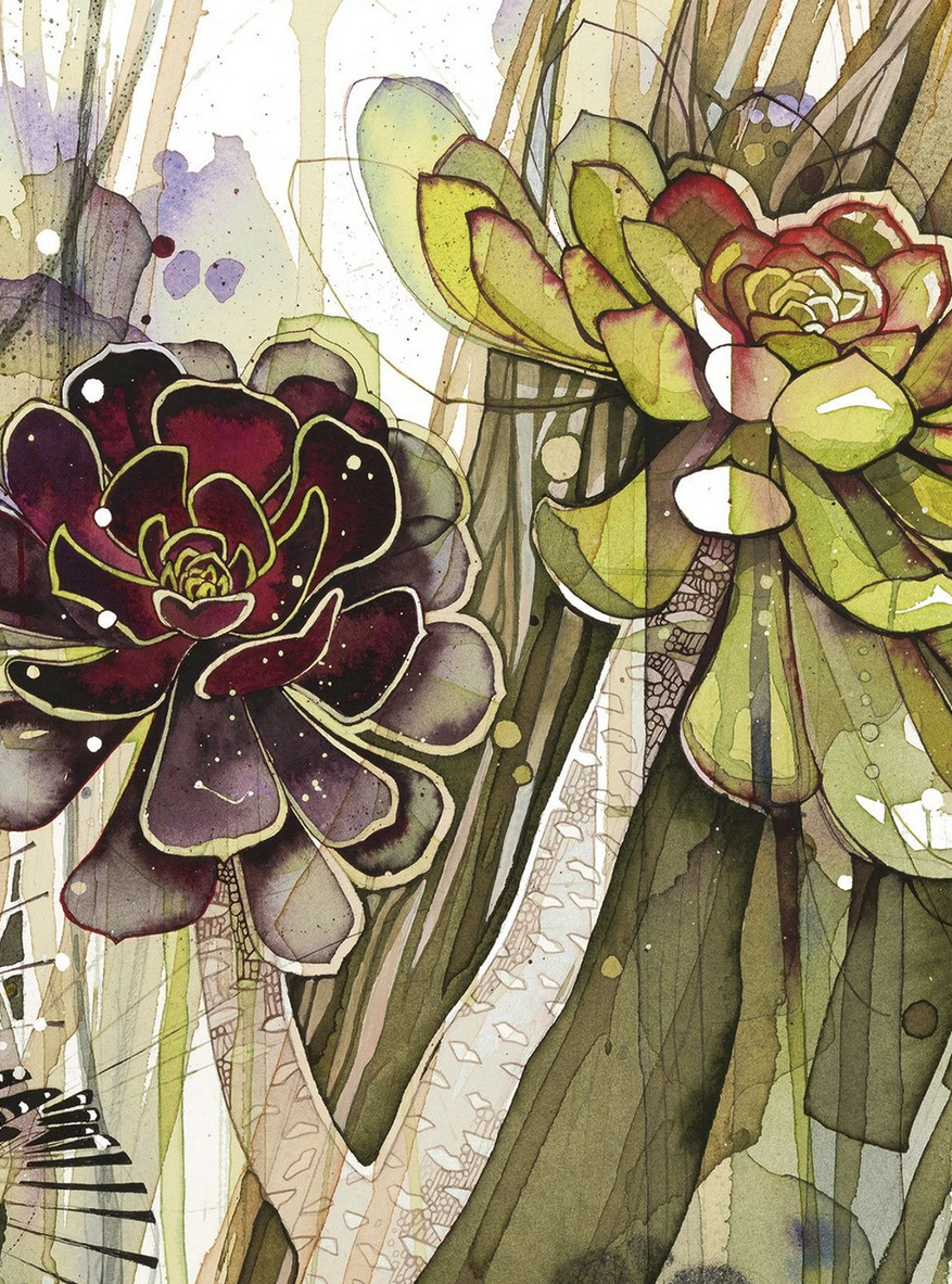 Hot Garden (Verbena, Aeonium, Finch)2.png