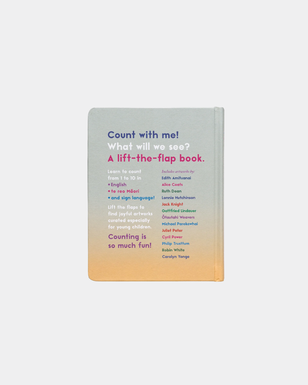What Will You See Book - Ashe Gallery Christchurch (4).png