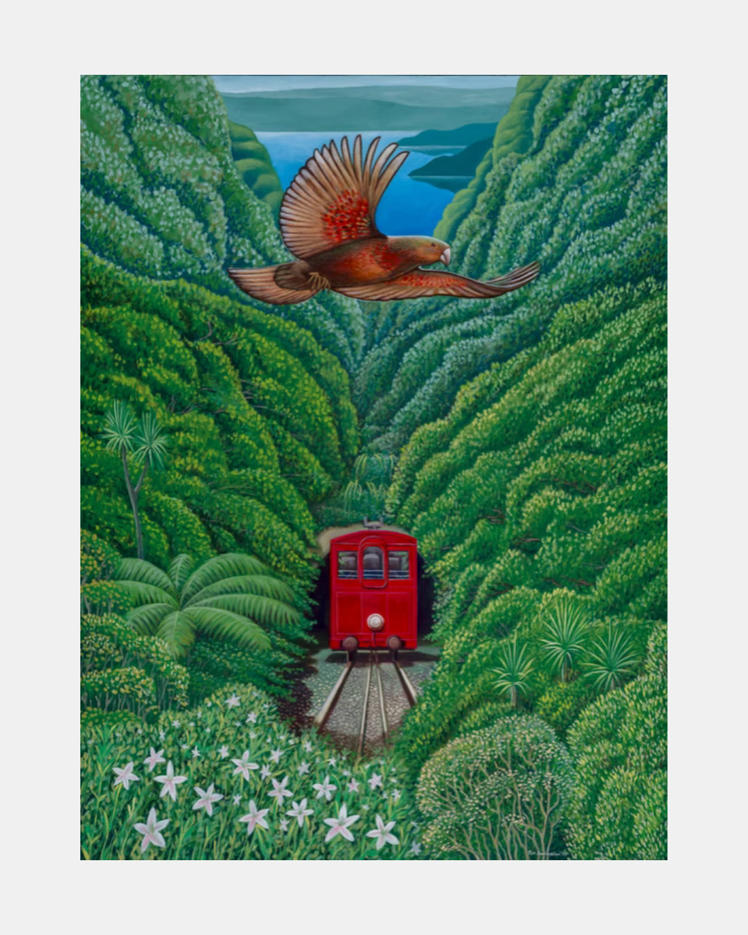 Kaka and the Cable Car