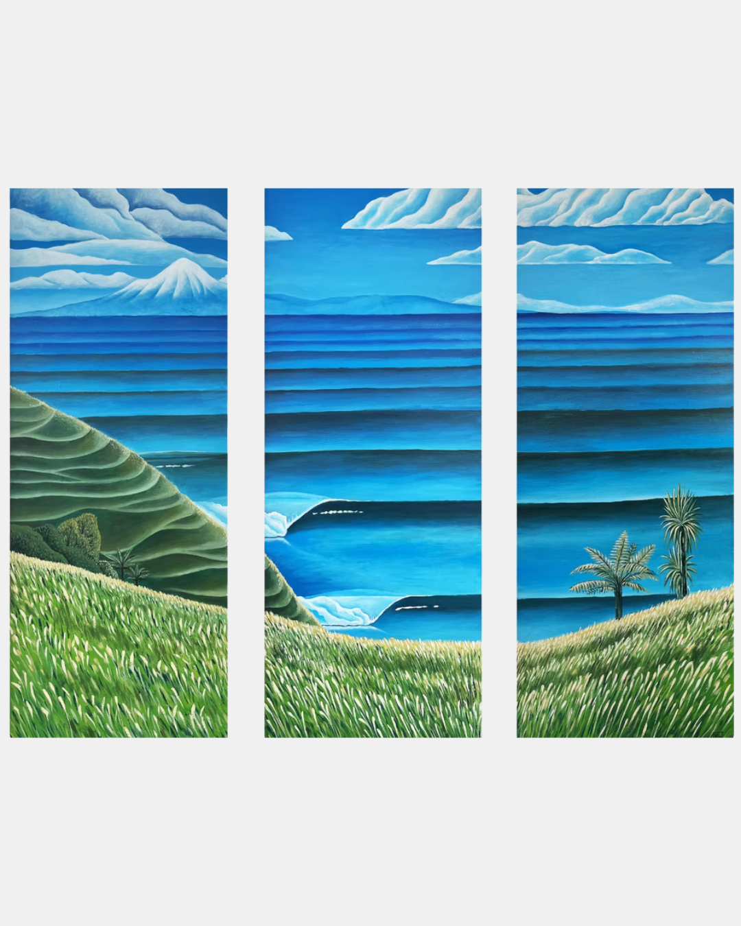 Mokau to Taranaki Rob Barrington Prints.png