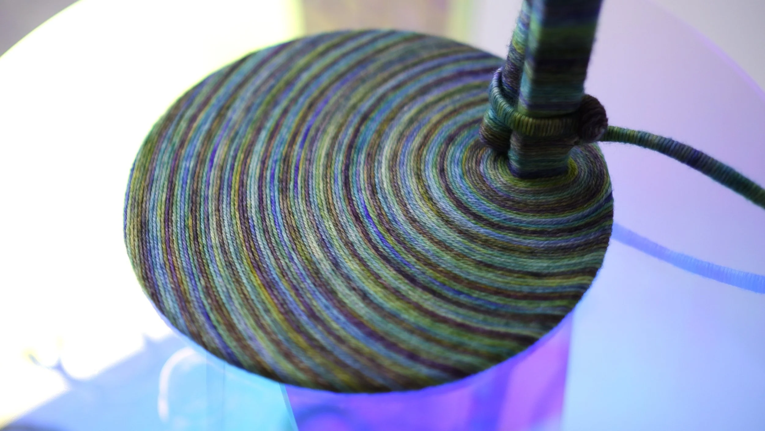 Viktoria Karaman - Kelp Forest - 03.JPG