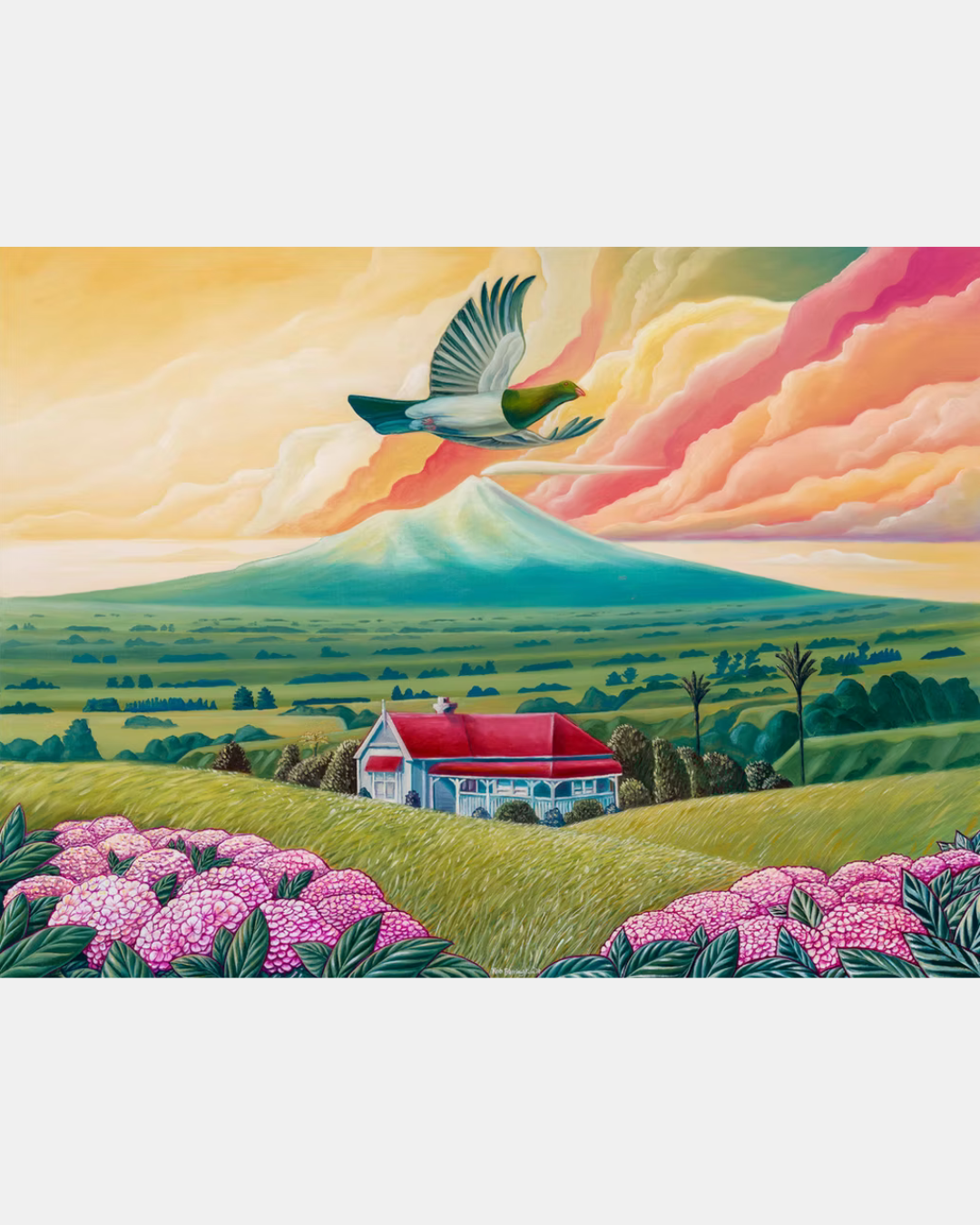 Kereru Wood Pigeon at South Taranaki