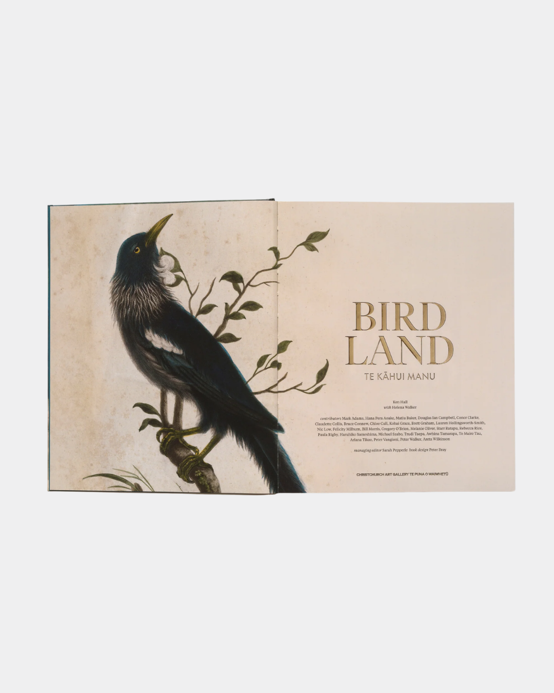 Bird Land Book - Ashe Gallery Christchurch (6).png