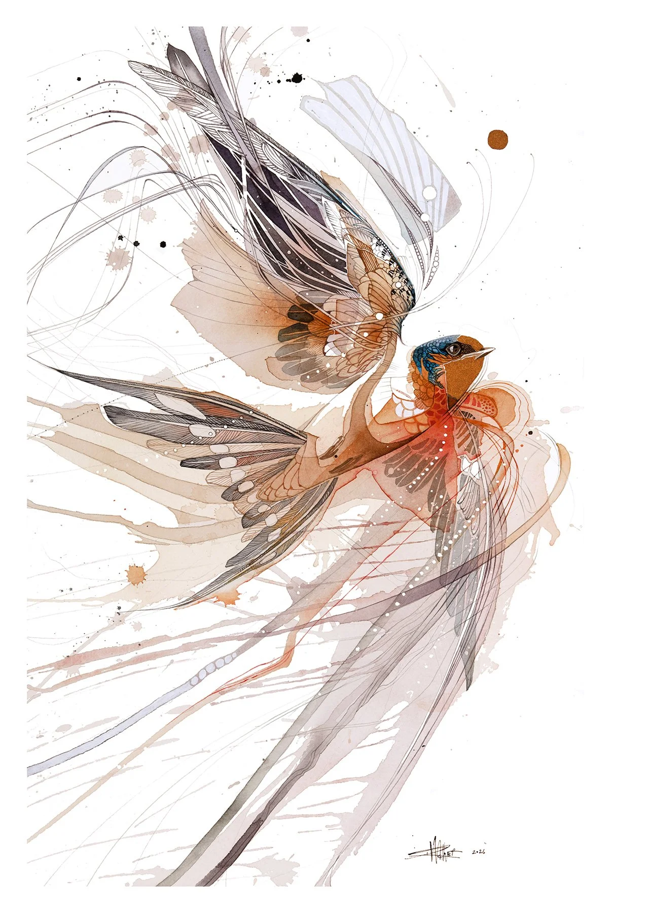 Dancing_Swallow_small.jpg