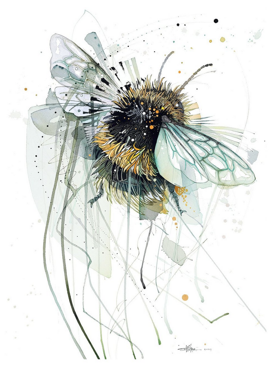 The Big Bee0.png