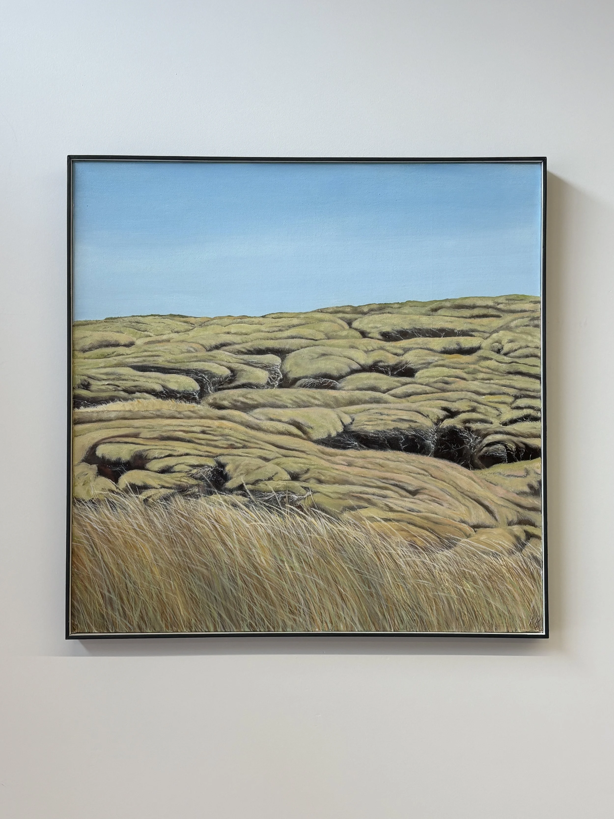 Kevin Burgess Original Oil Paintings LandscapeIMG_9617.JPG