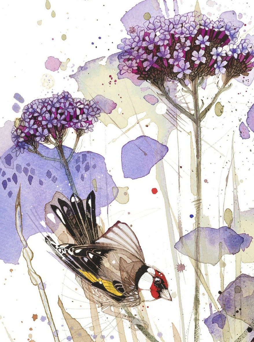 Hot Garden (Verbena, Aeonium, Finch)1.png