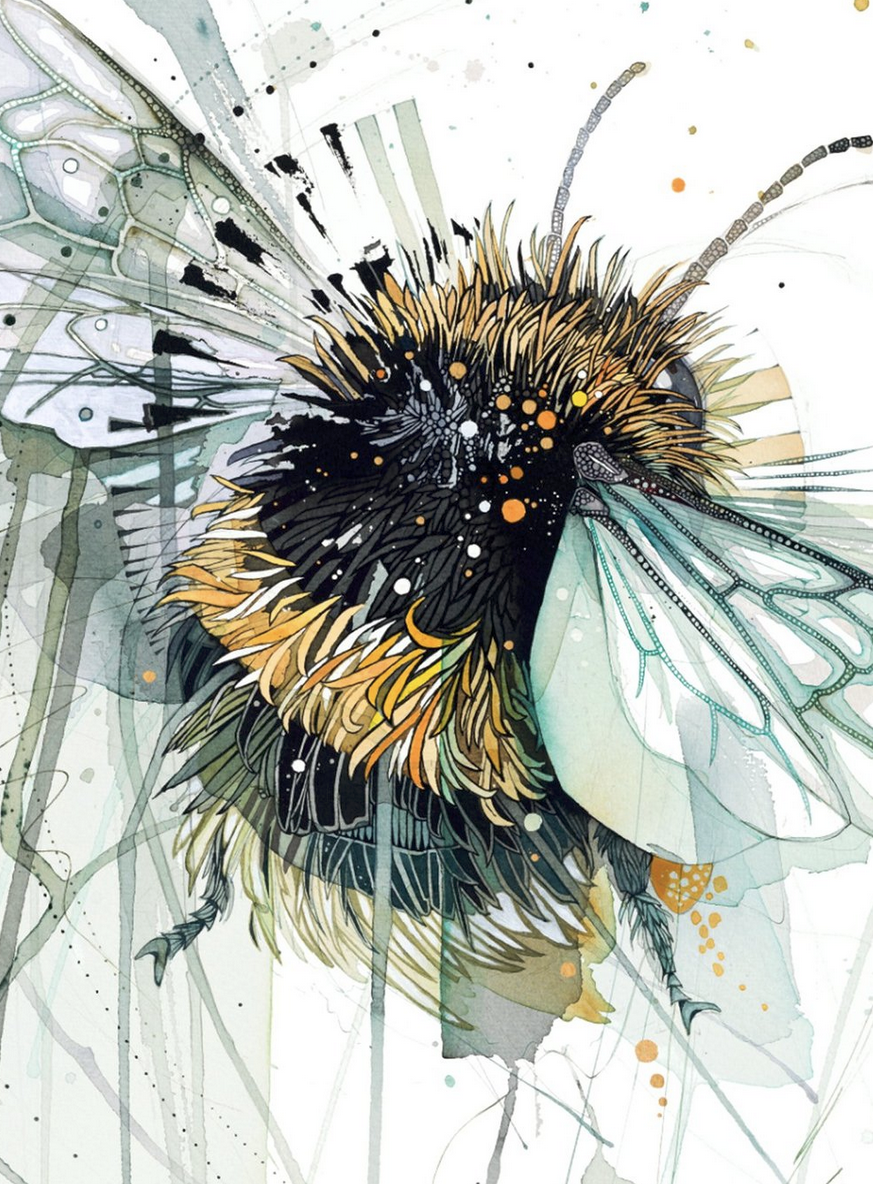 The Big Bee1.png