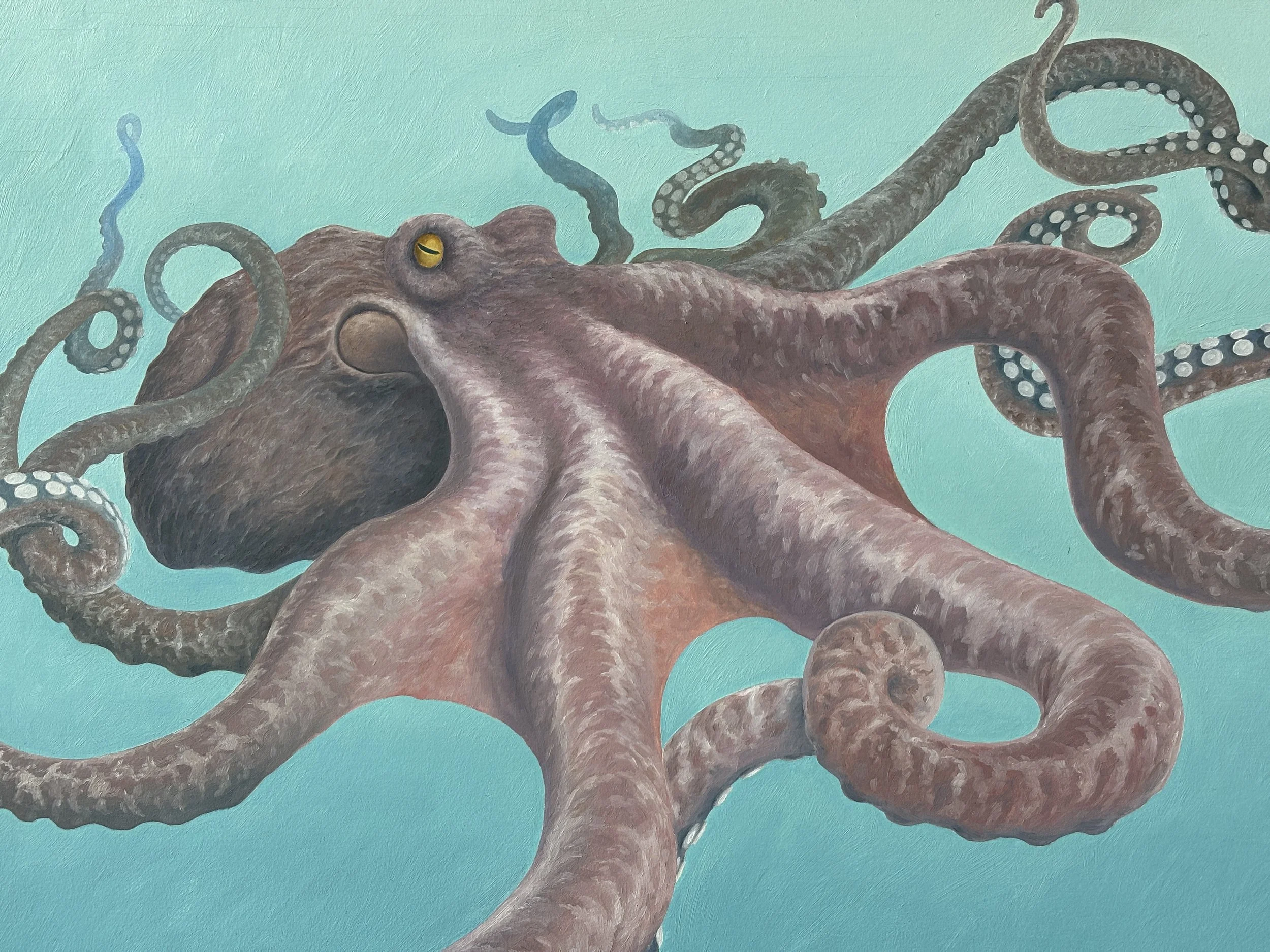 Richard Mac Art Octopus .JPG