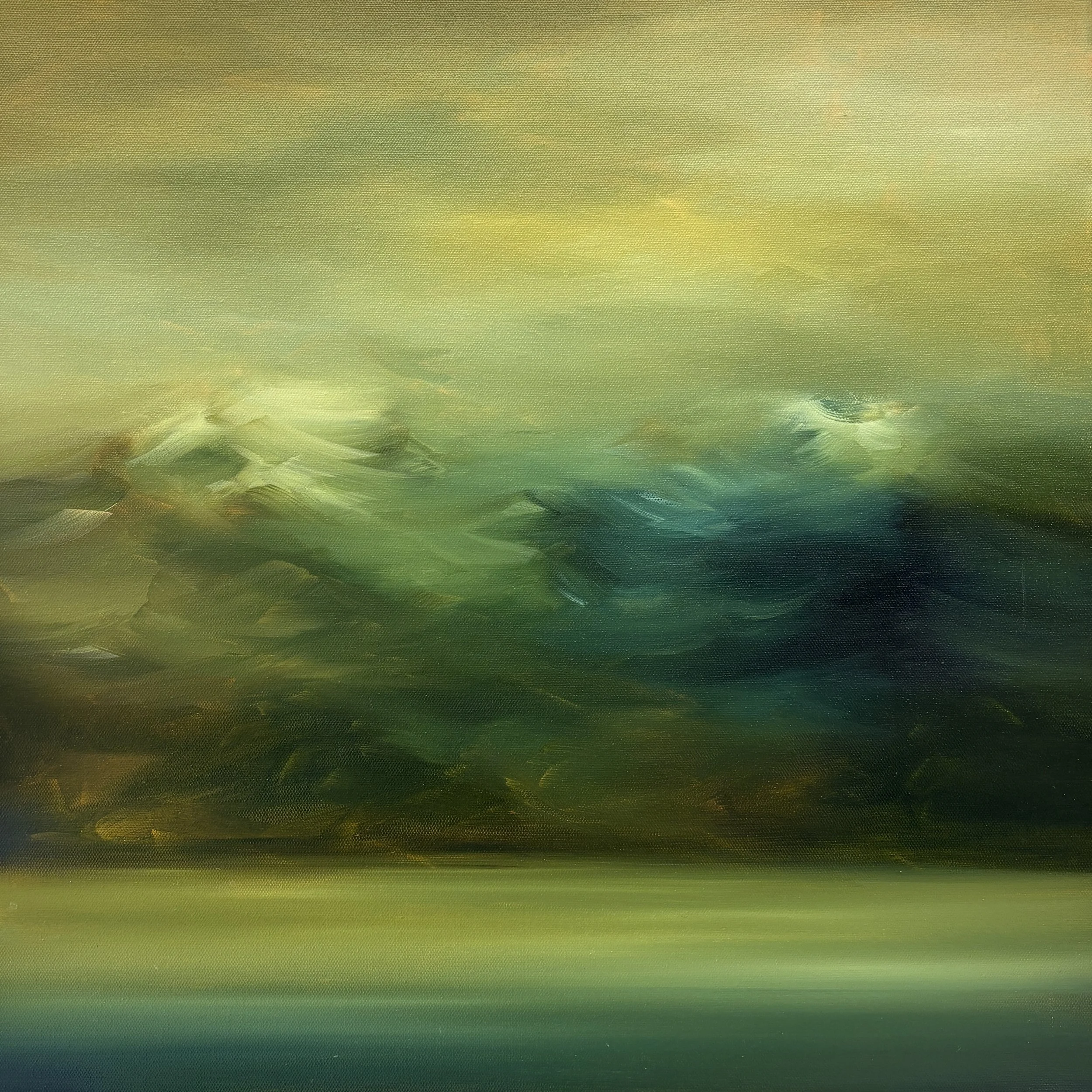 New Zealand Landscape Study 1