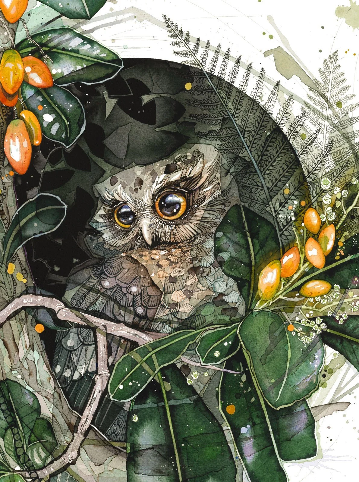 Morepork_Karaka_webcrop.jpg