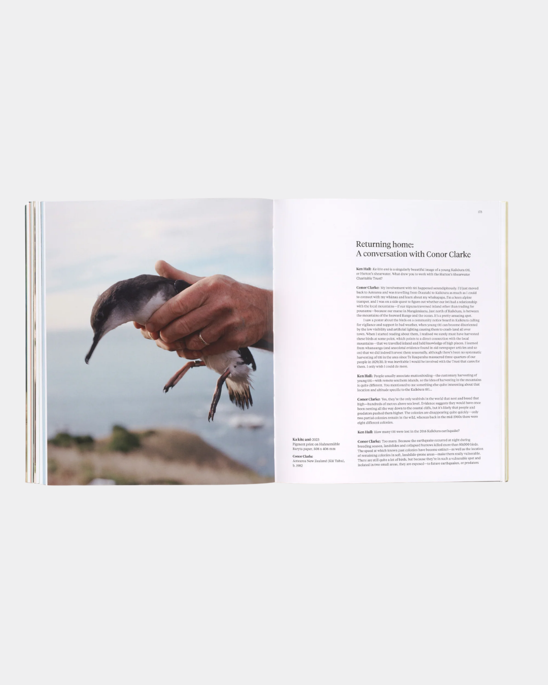 Bird Land Book - Ashe Gallery Christchurch (4).png
