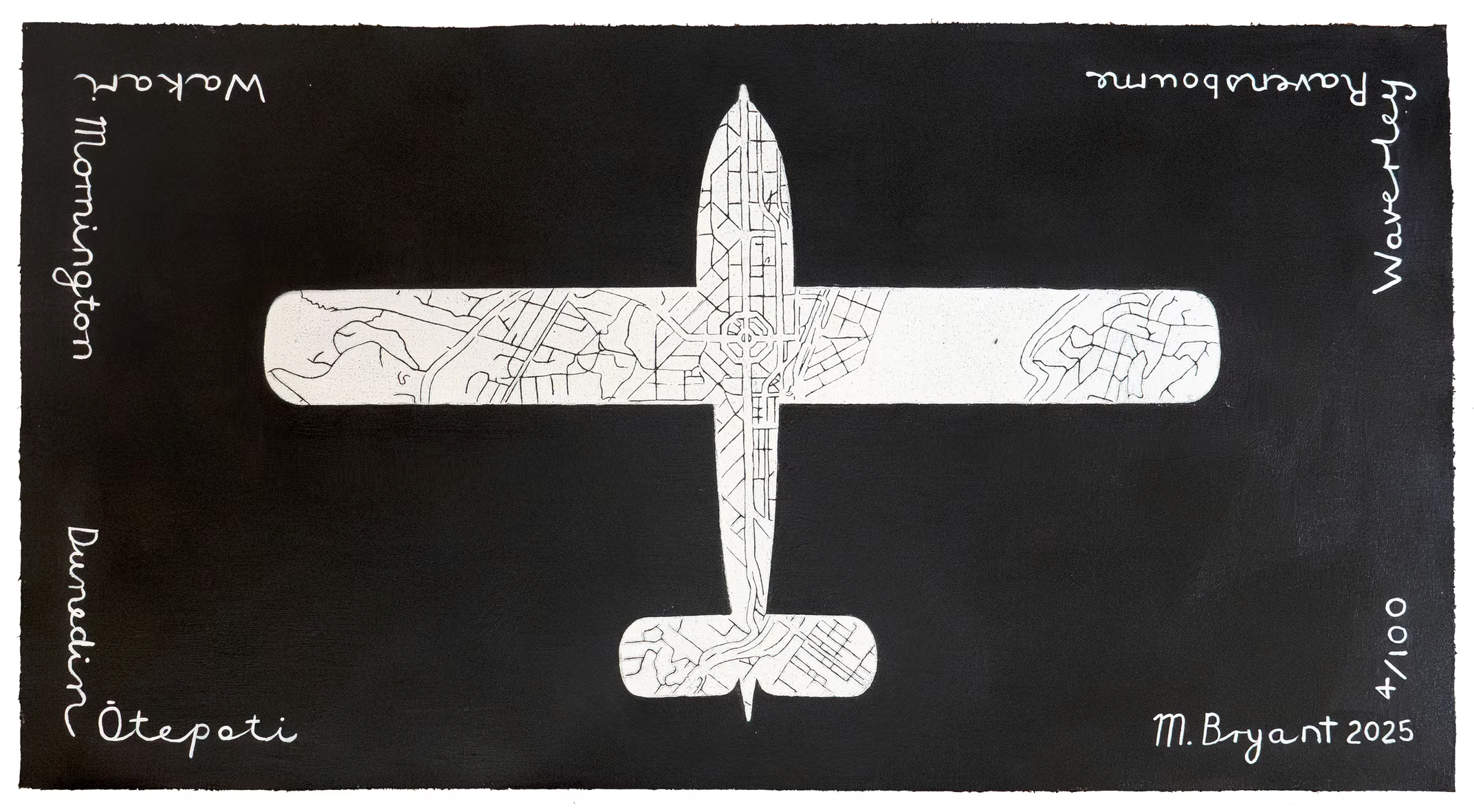 Dunedin Otepoti Carto Plane Print.png