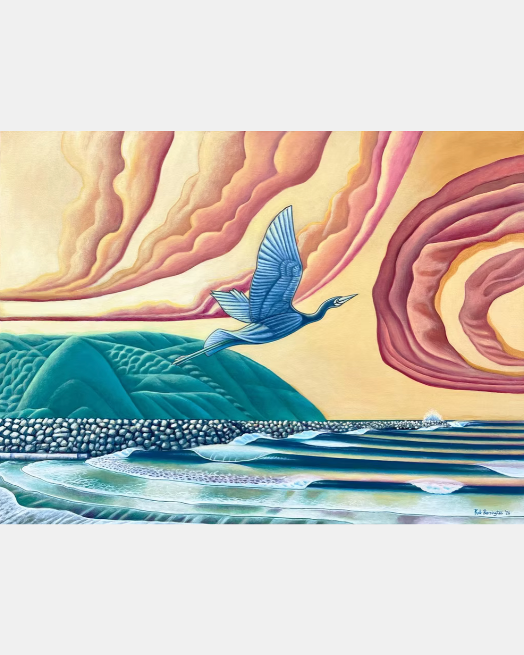 Matuku Moana Heron at Lyall Bay Wellington