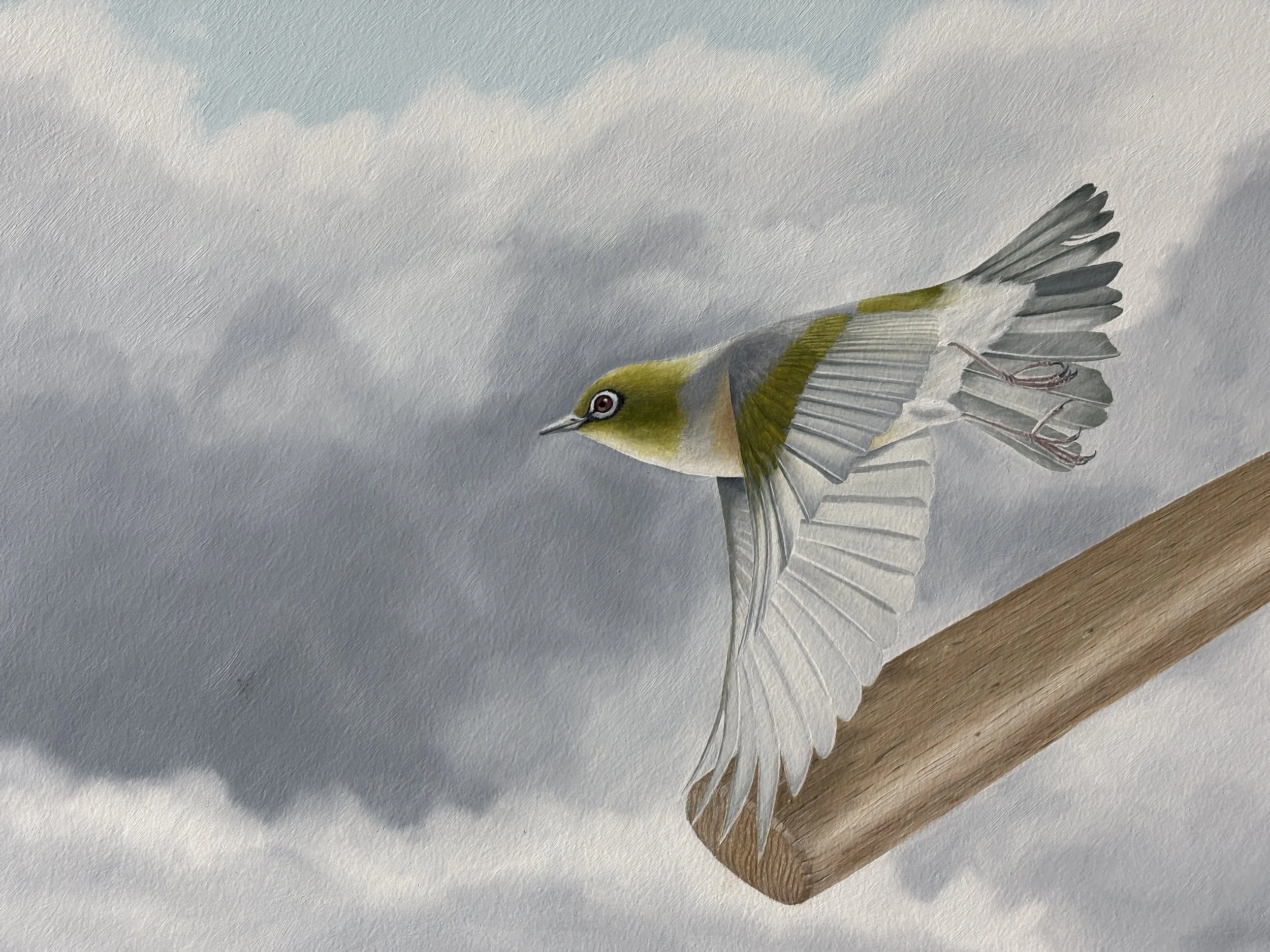 Richard Mac Art Waxeye .JPG
