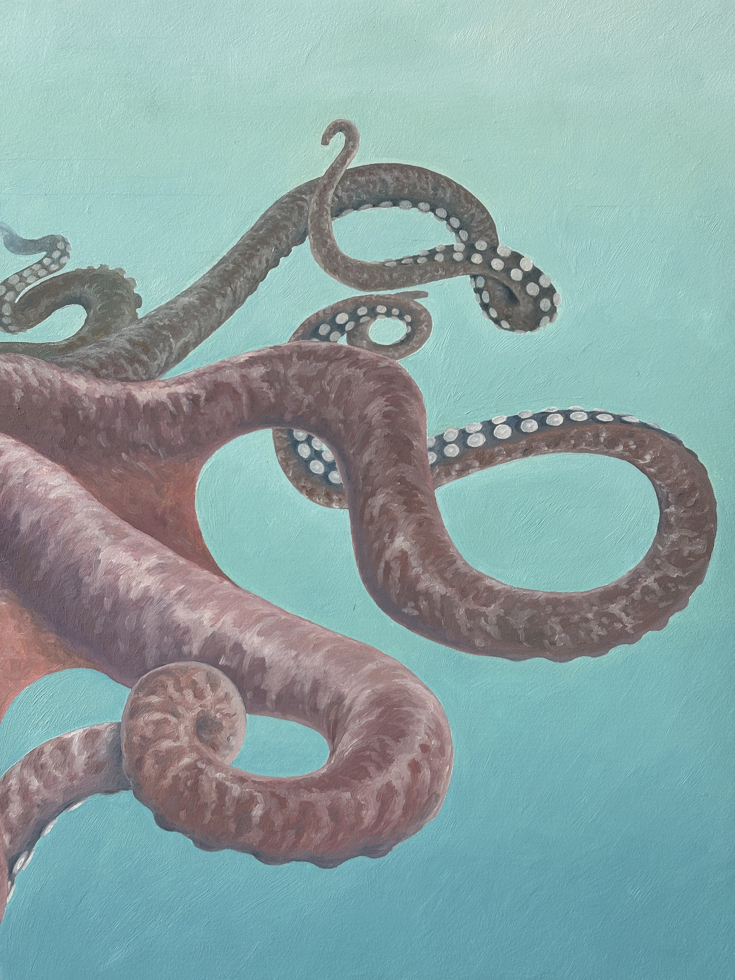 Richard Mac Art Octopus 2.JPG