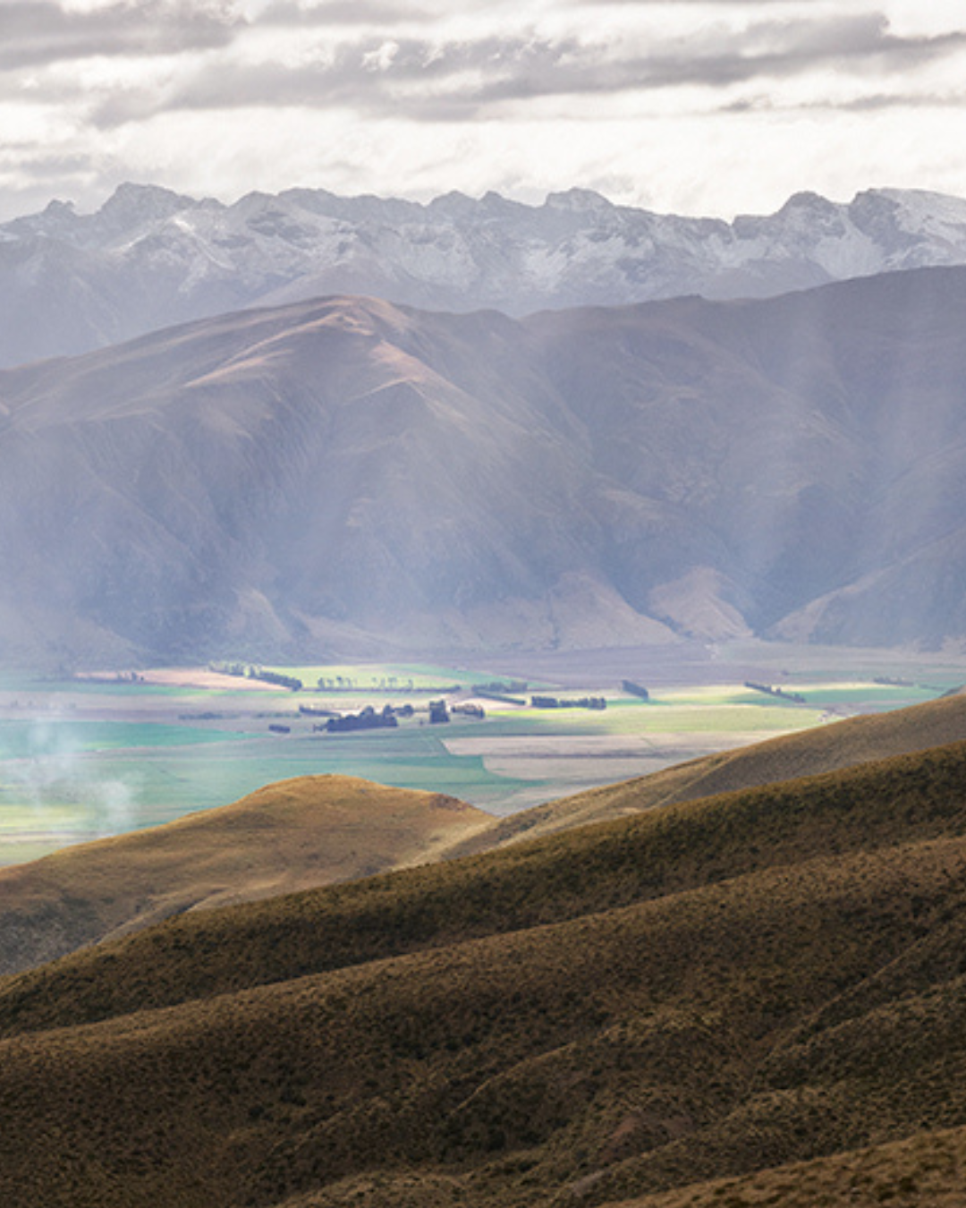 Photography Peter Latham (3).png