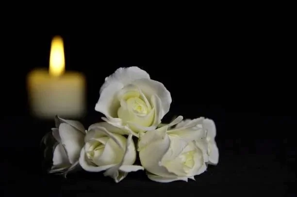 White Roses for Farewell – Funeral Gift Ideas in Tauranga, Bay of Plenty & Waikato Celebrate the life of a loved one with an elegant bouquet of white roses. created by Celebrant Chris, serving Tauranga, Bay of Plenty