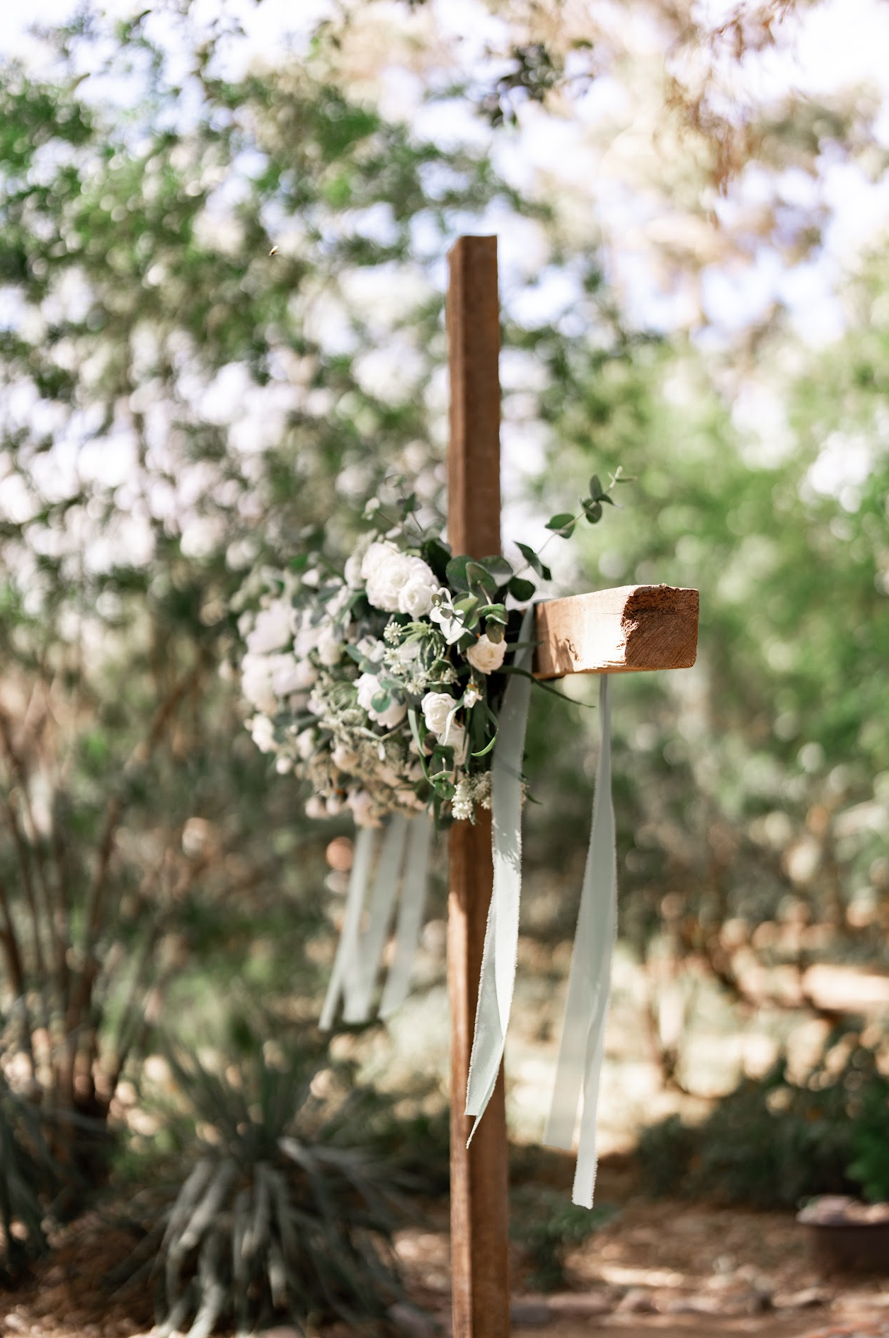 ariana & jalen | boyce thompson arboretum | feb 2026