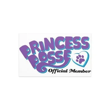 Princess Posse Magnet by u/grafikat