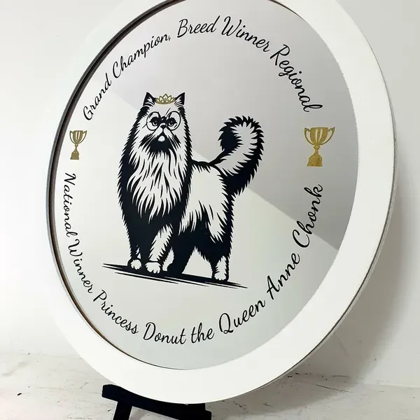 donut mirror from u/Unit-32075428912