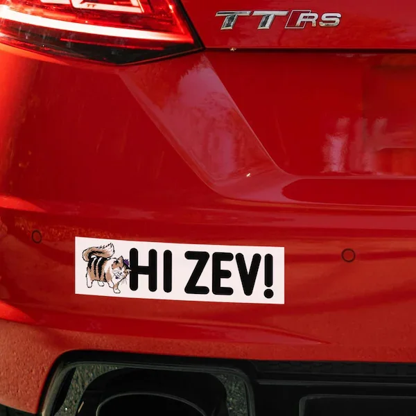 hi zev car sticker from u/jeveart