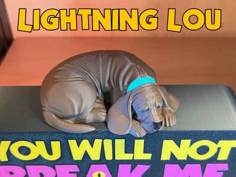 3d file (lightning lou) from u/undeadriot3d
