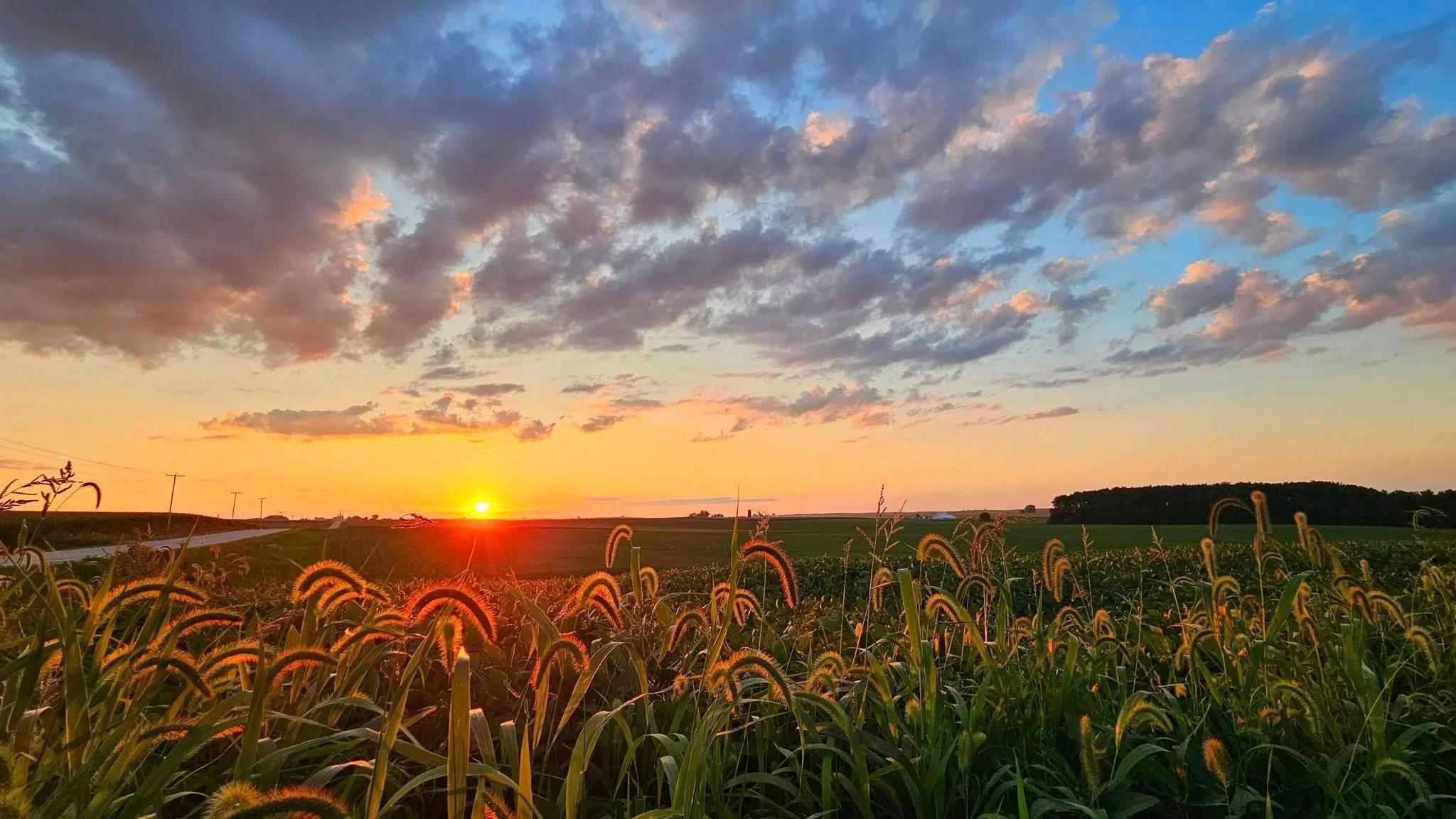 What is Brain Health?