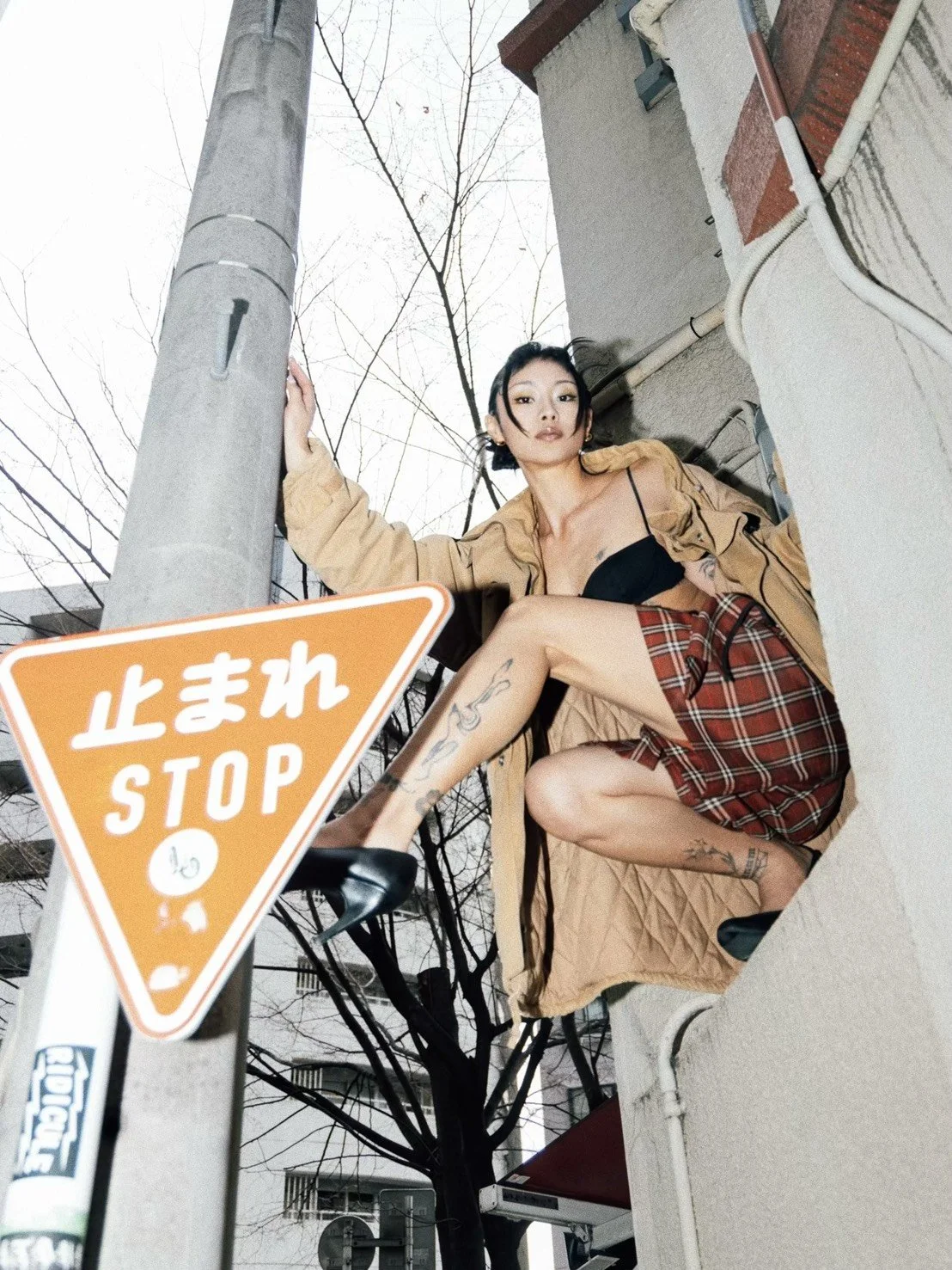 S__10002458_0.jpg