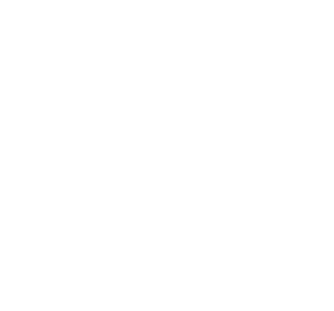 nestline studio
