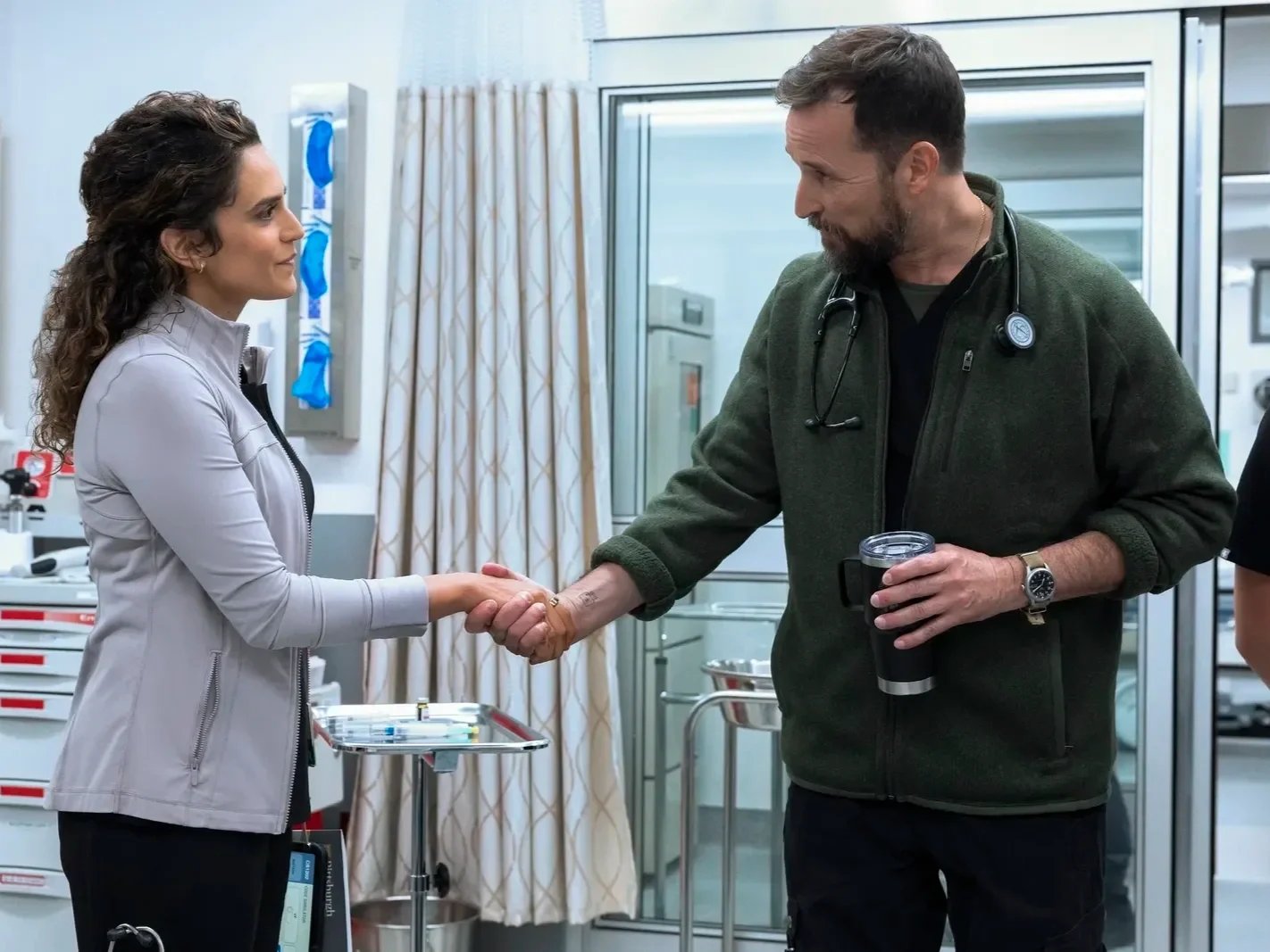 Meet Sepideh Moafi, Who Plays Dr. Baran Al-Hashimi in 'The Pitt' Season 2