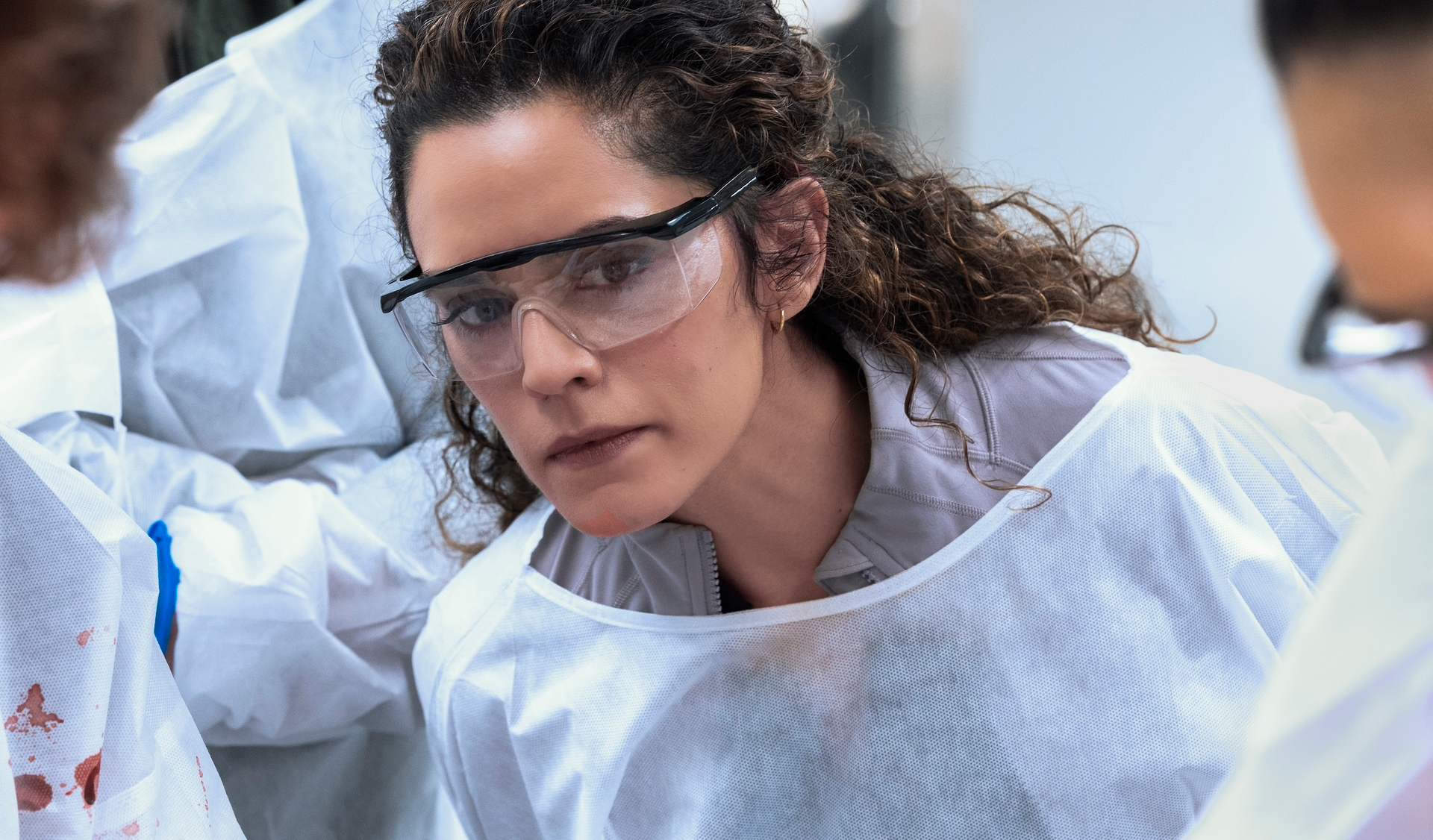 Sepideh Moafi on Learning to Let the Fandom Run Wild