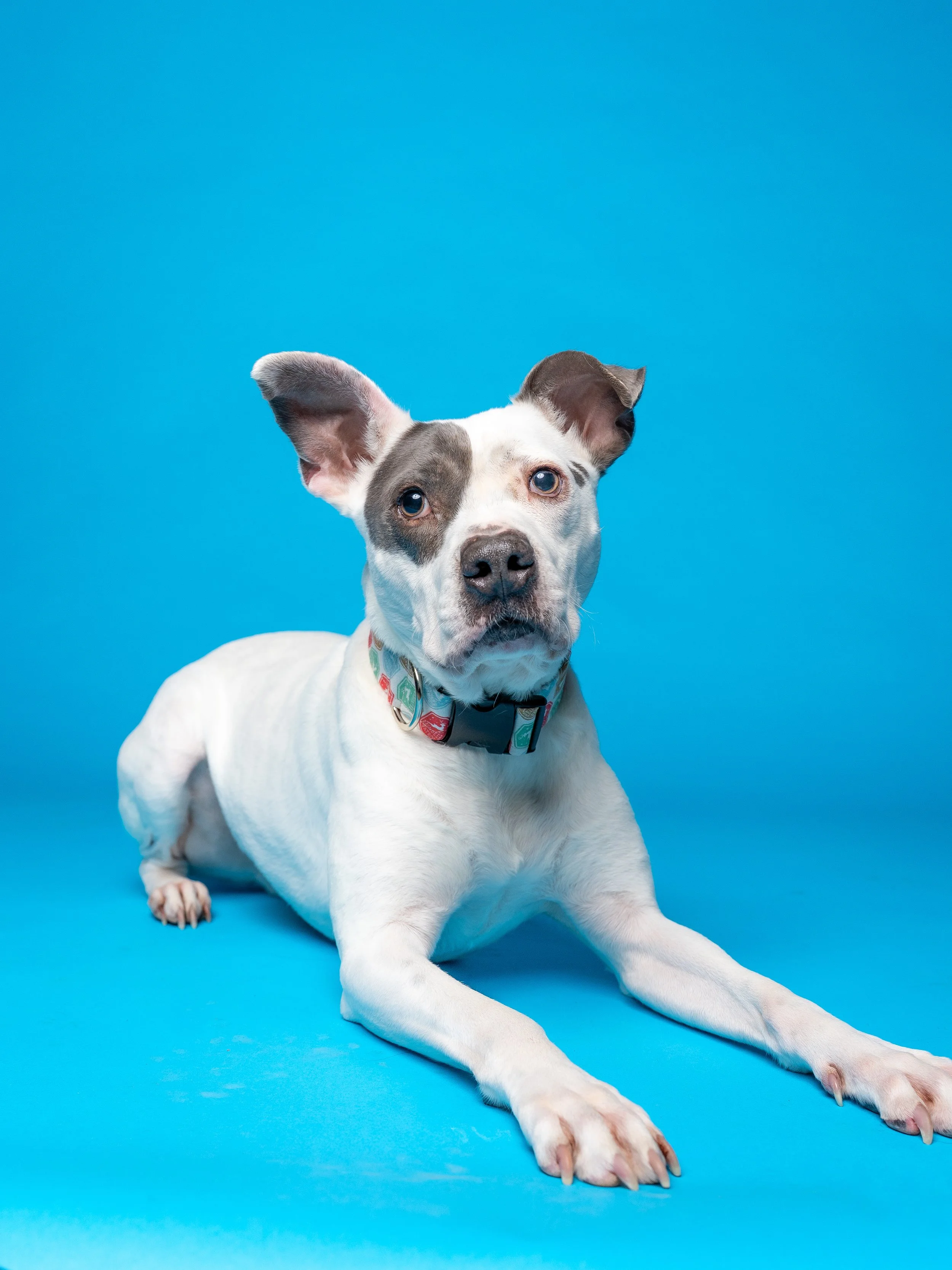 Archie & Leo -03.jpg