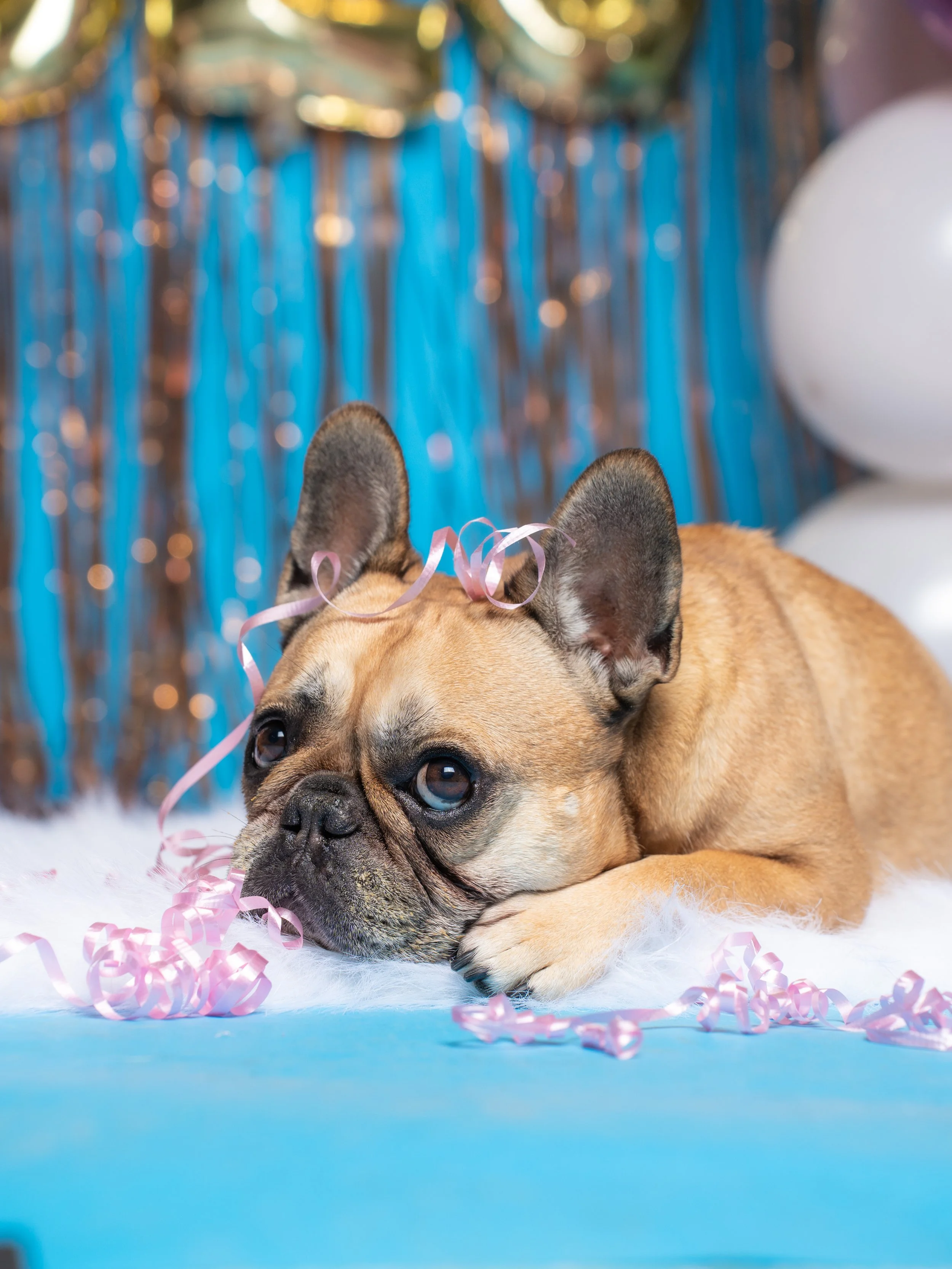 NYE Salty Paws-09.jpg