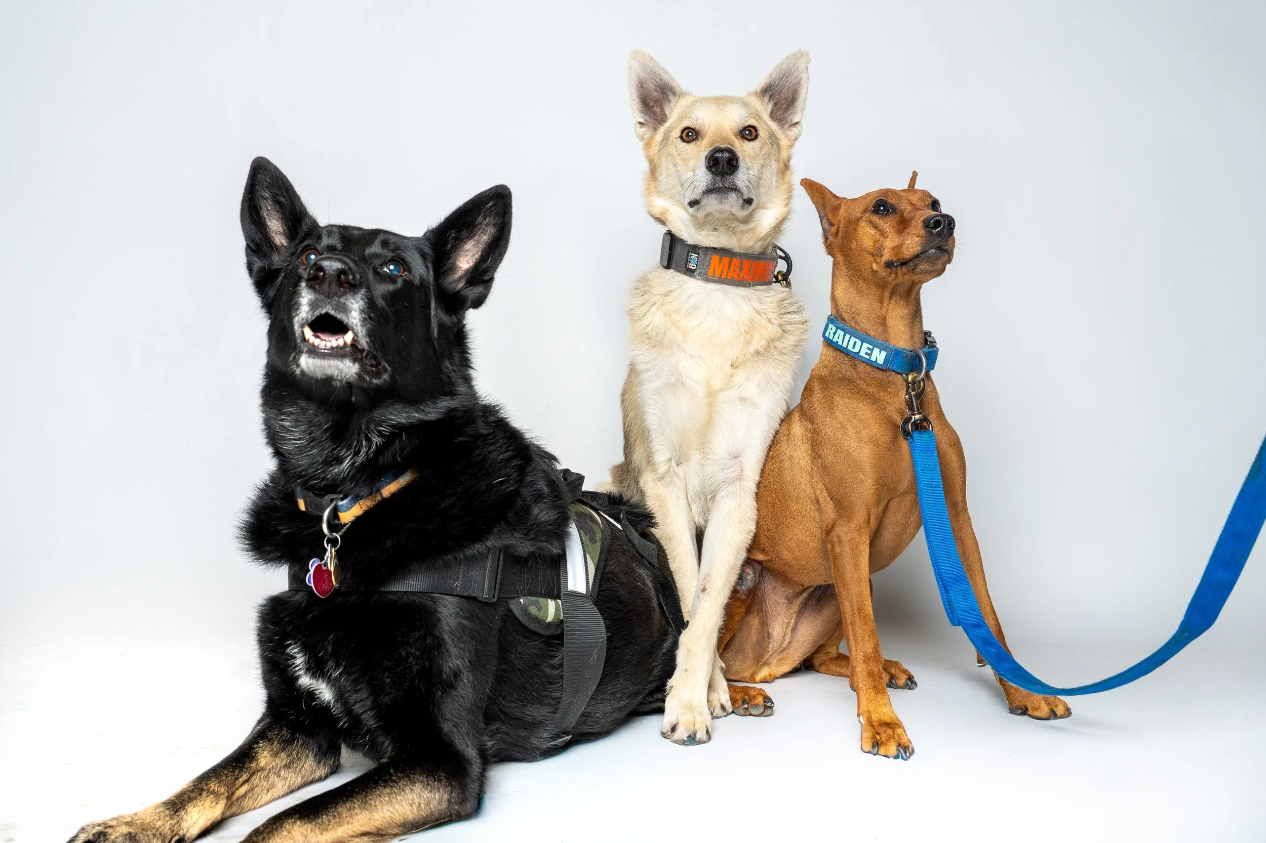 Raiden, Max, Crosby-24.jpg