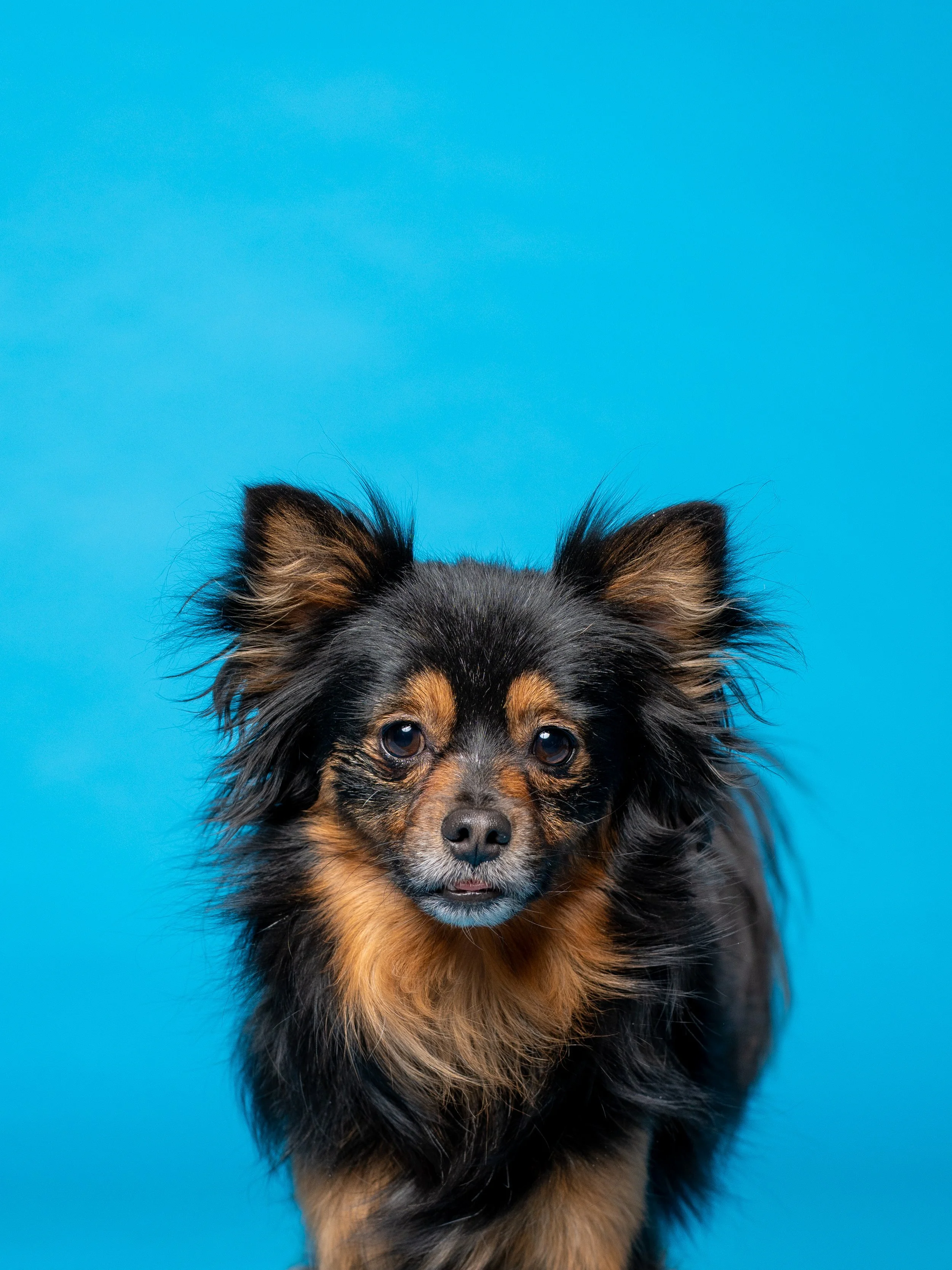 Archie & Leo -19.jpg