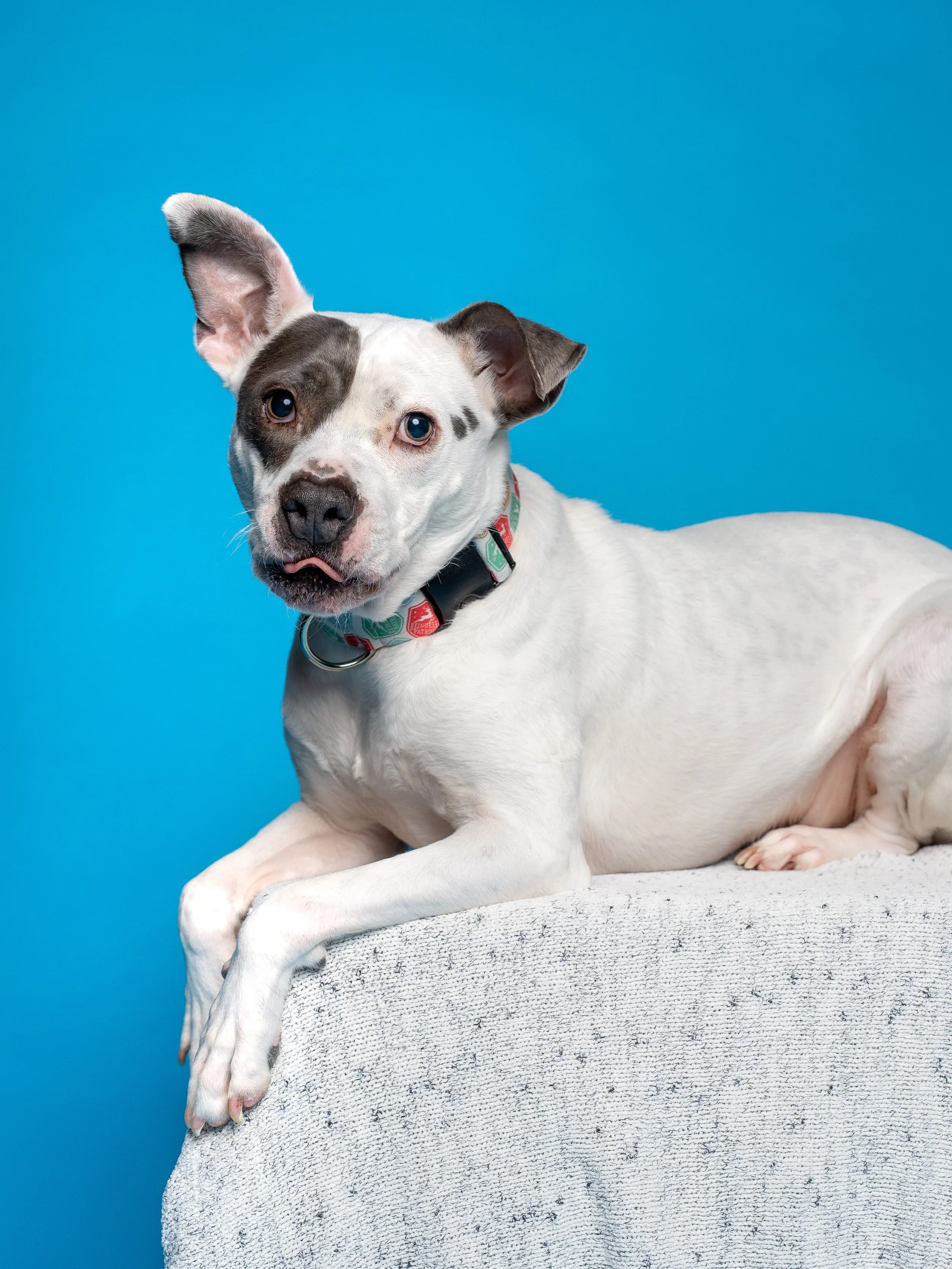 Archie & Leo -04.jpg